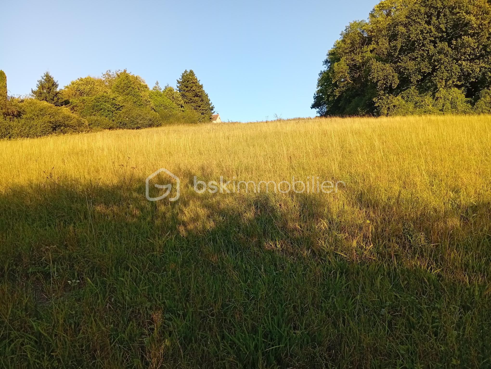 Terrain de loisirs de 1 934 m² - 1000001767.jpg