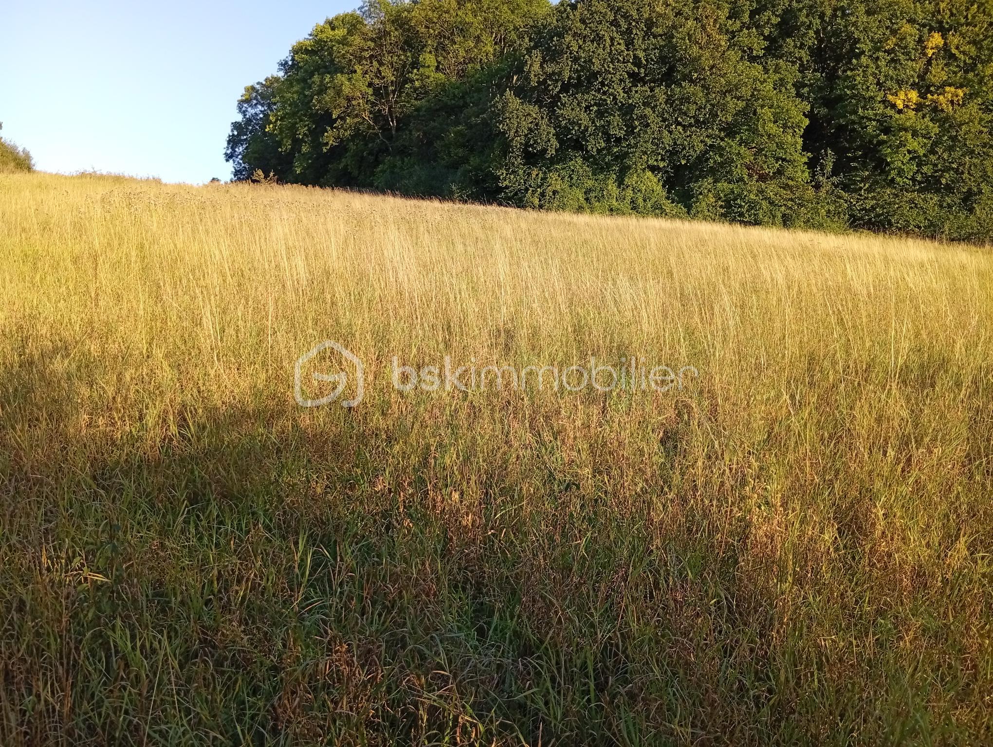 Terrain de loisirs de 1 934 m² - 1000001770.jpg