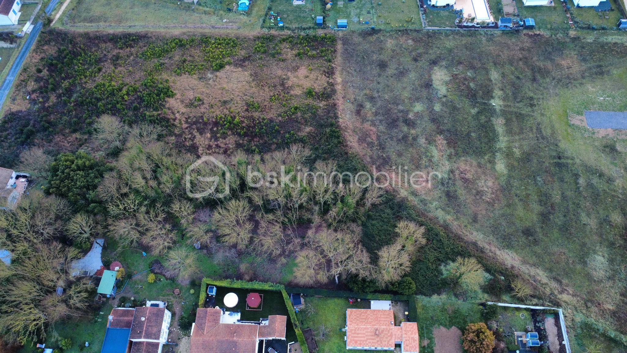 Lotissement de 12 874 m² - 617121101_122154510098696471_4823380610788458166_n.jpg