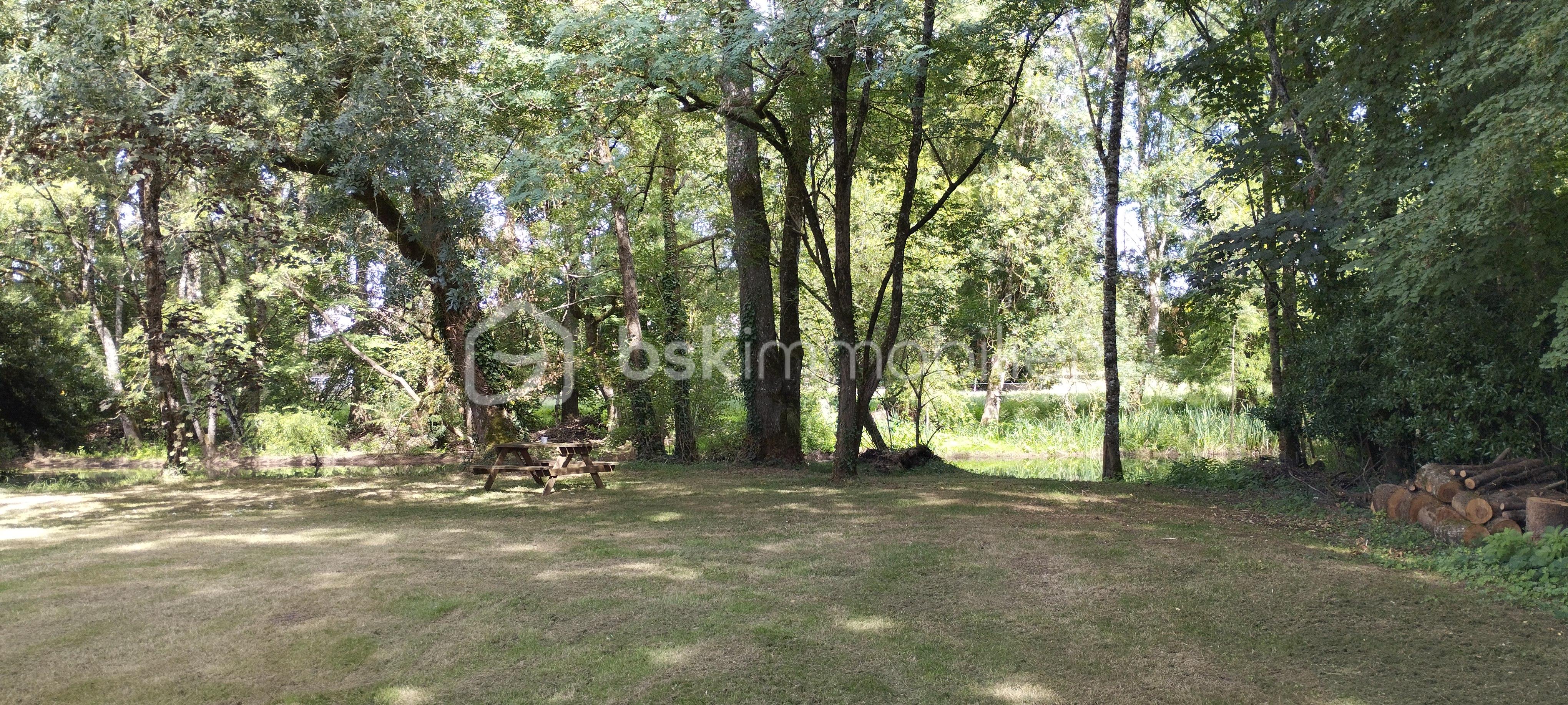 jardin 2.jpg