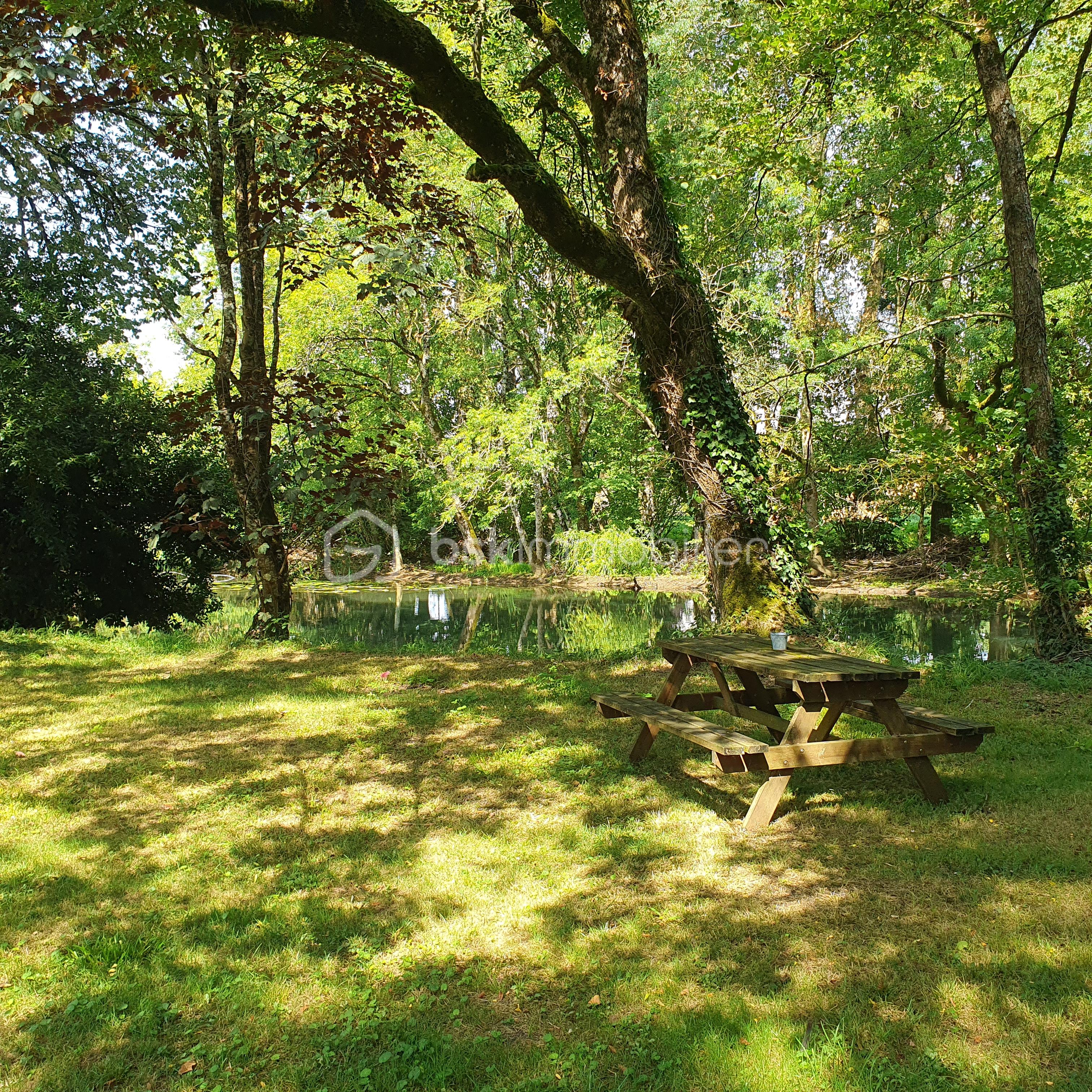 jardin 7.jpg