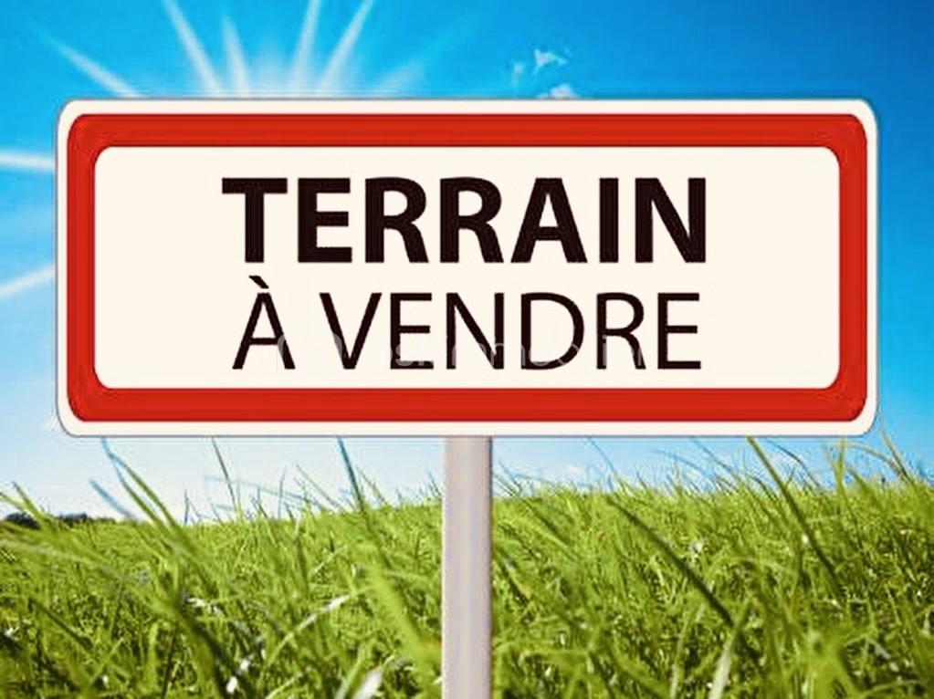 Terrain de 417 m² - IMG_2926.jpeg