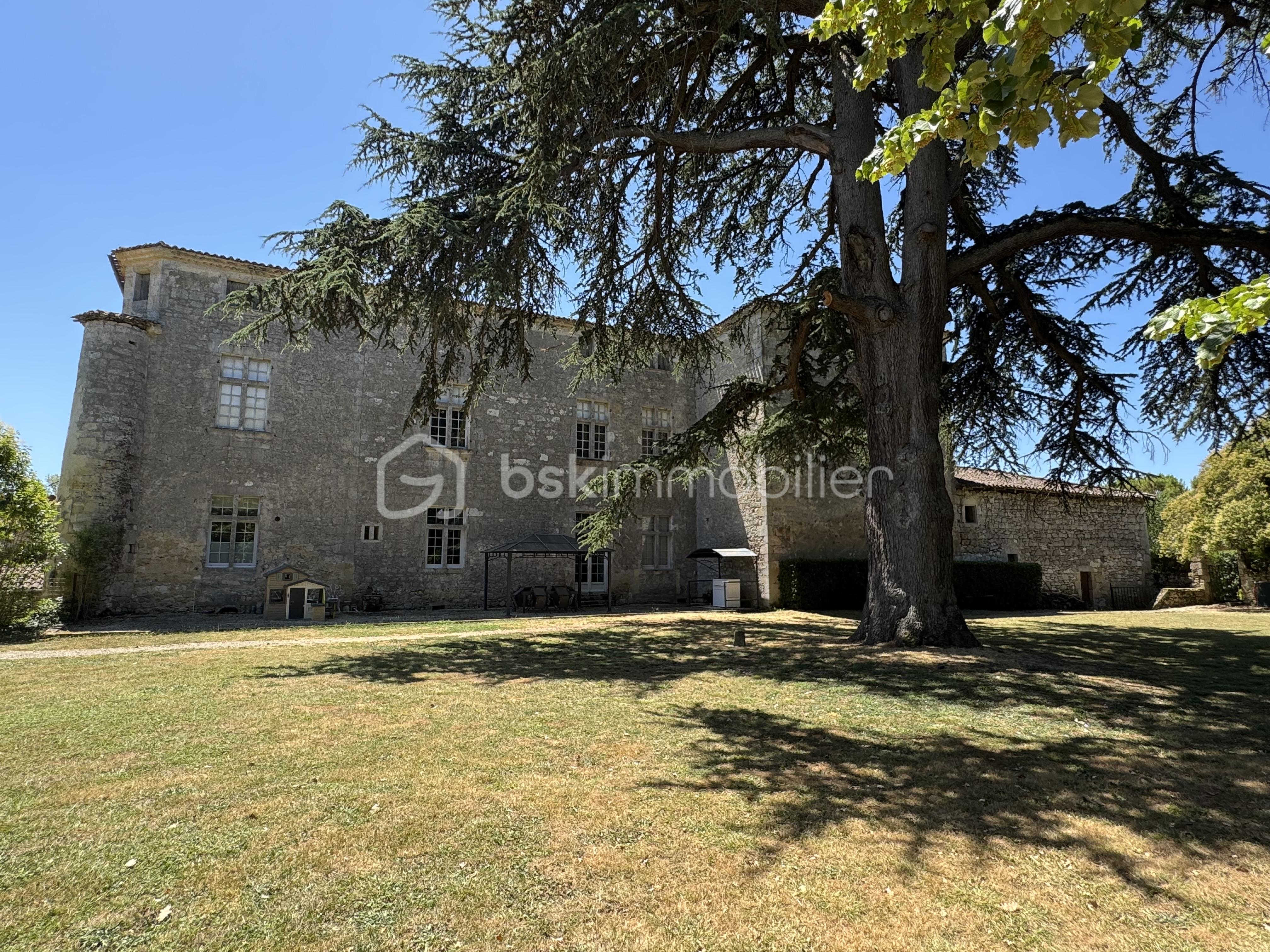 Chateau de 575 m² - Belle Maison Gascony Gers Campagne Chateau Jardin Piscine (54).JPG