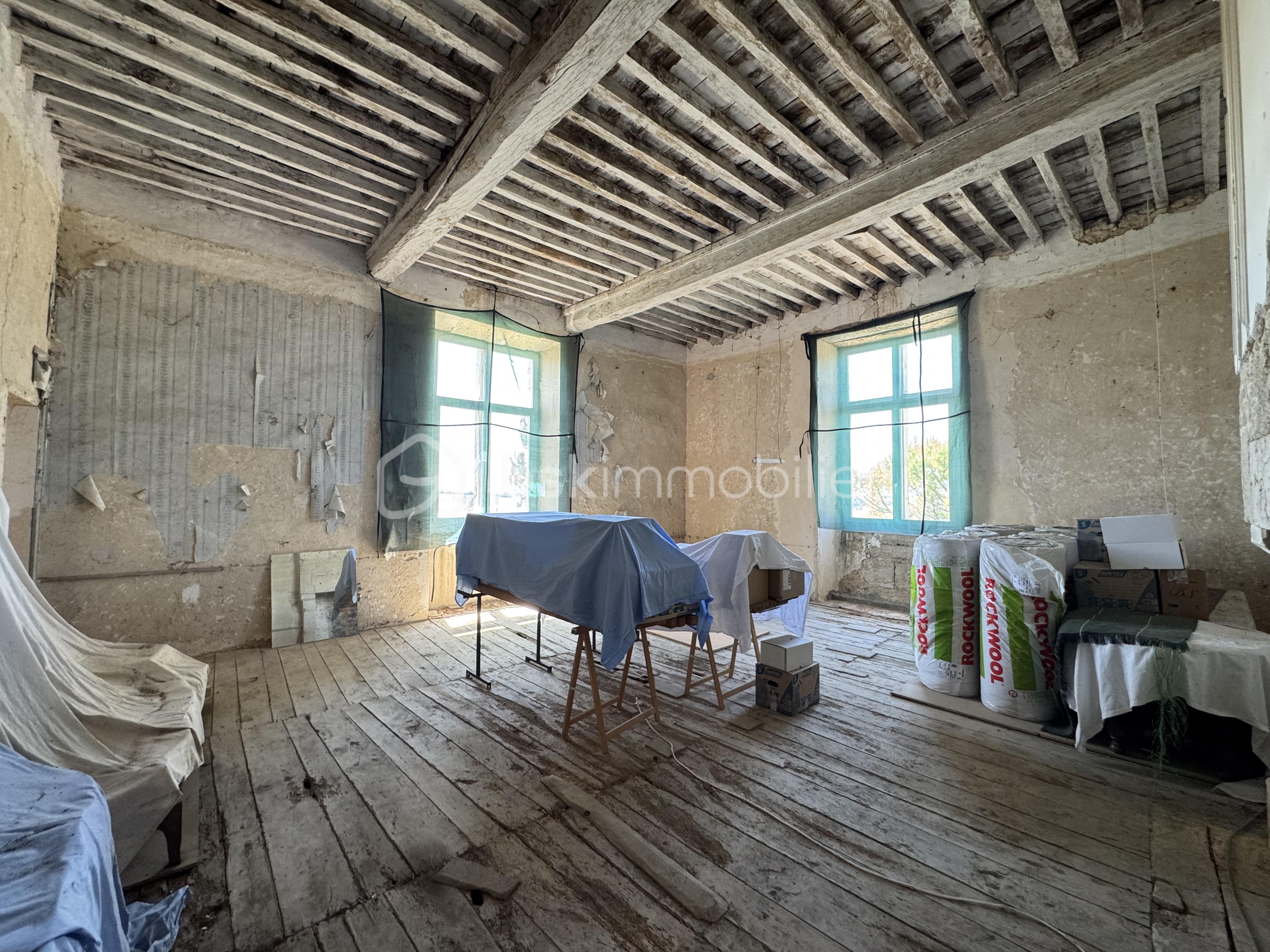 Chateau de 575 m² - Belle Maison Gascony Gers Campagne Chateau Jardin Piscine (188).JPG