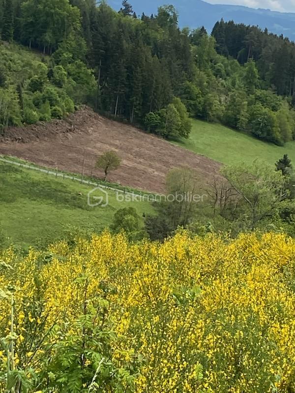 Terrain de 1 540 m² - IMG_82321(1).jpg