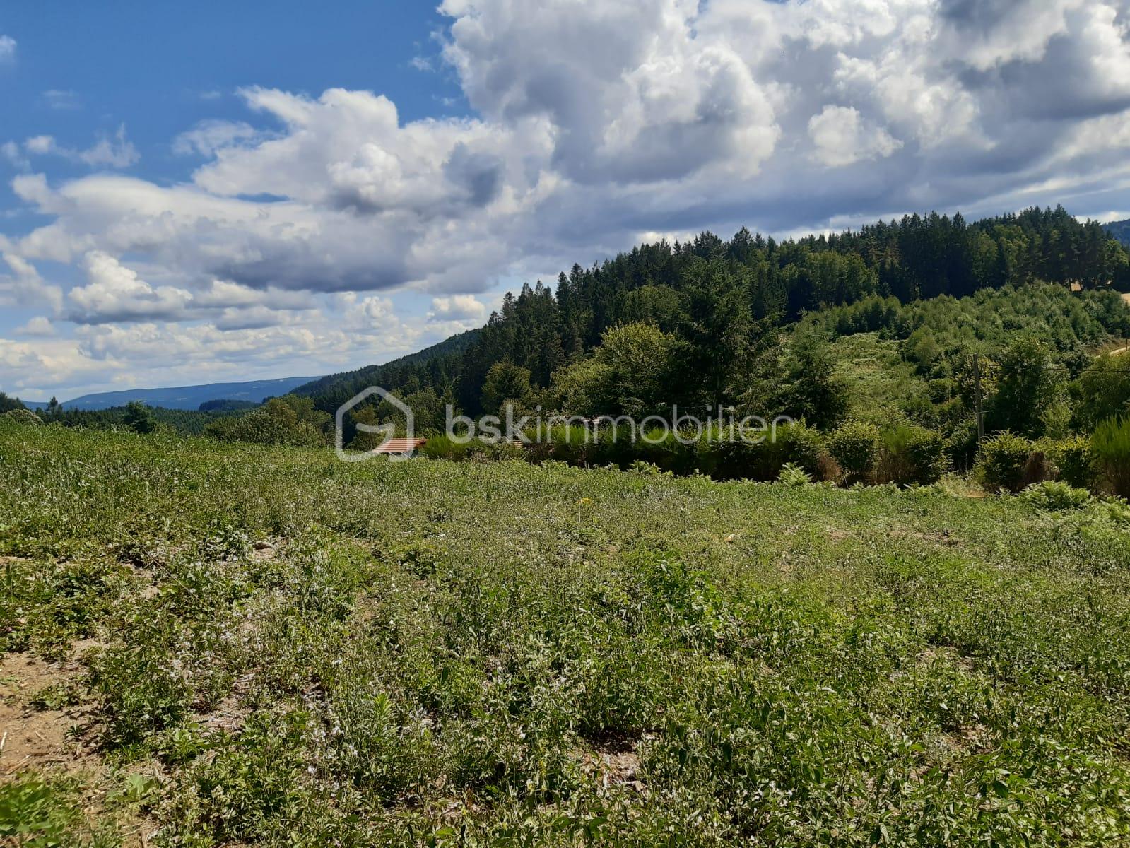 Terrain de 1 540 m² - WhatsApp Image 2025-07-24 à 16.12.56_28ffb1ce.jpg