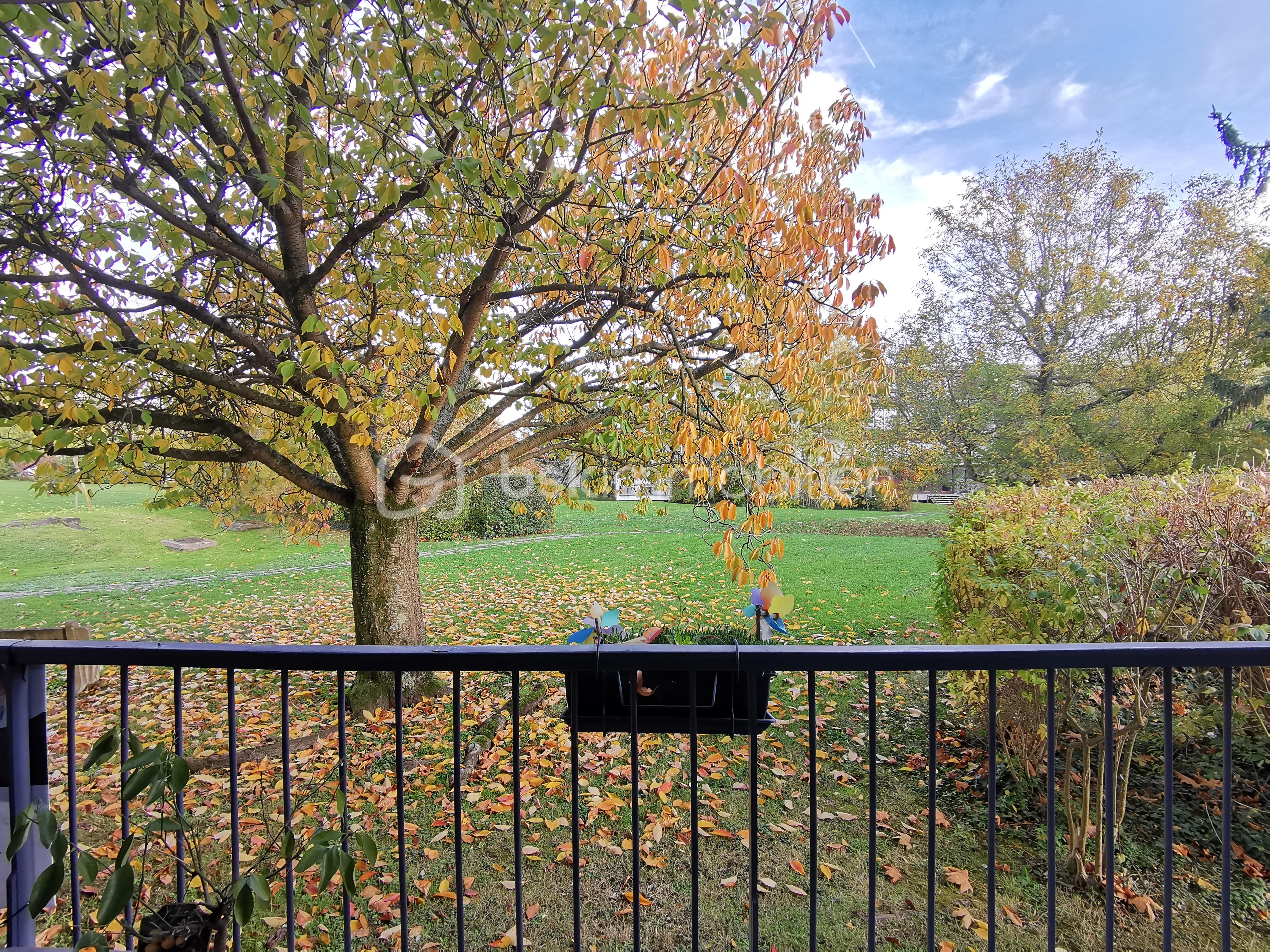 Appartement de 63,29 m² - VUE DU BALCON 3 NOV.jpg