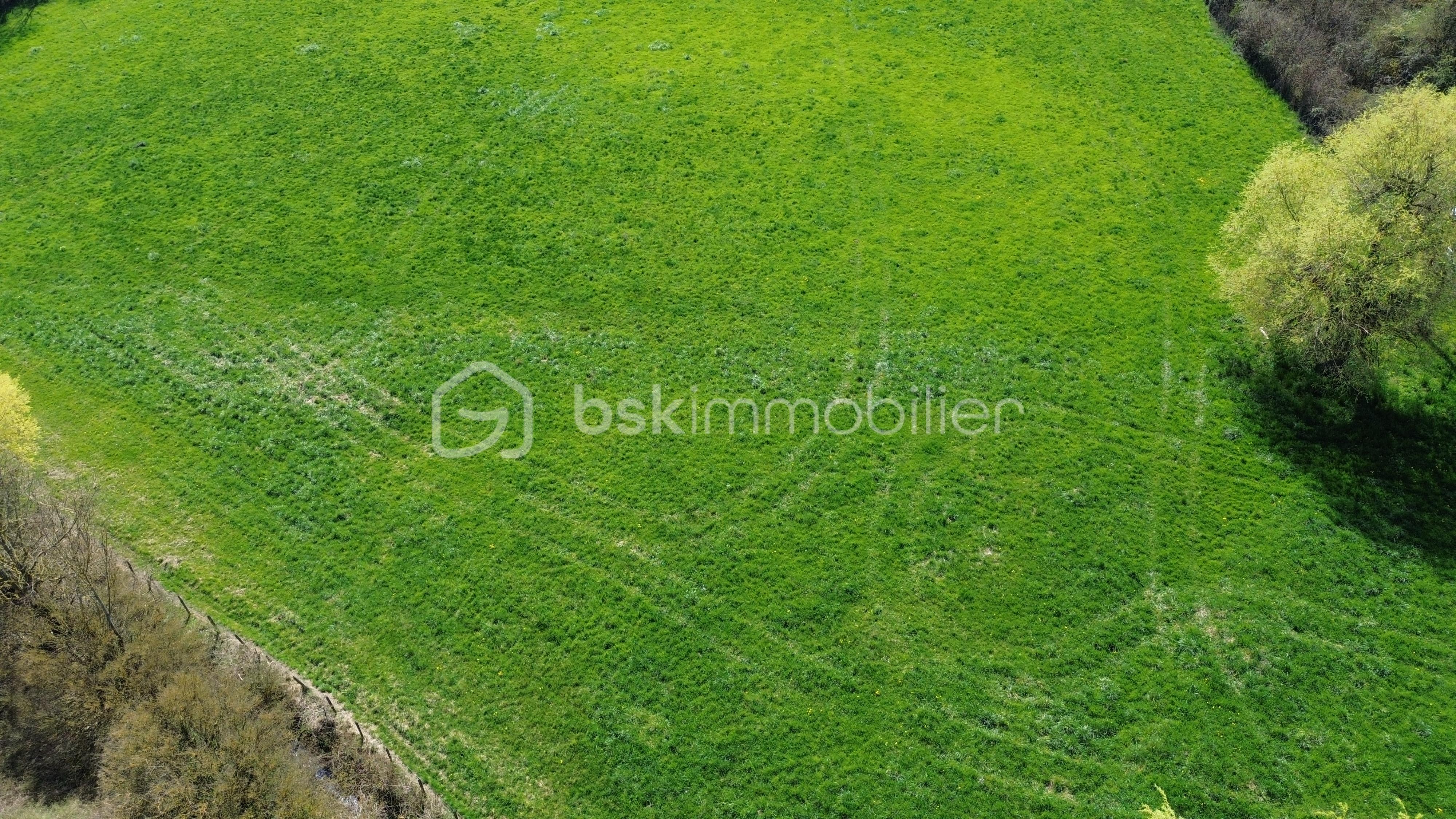 Terrain de 4 100 m² - DJI_0140.JPG