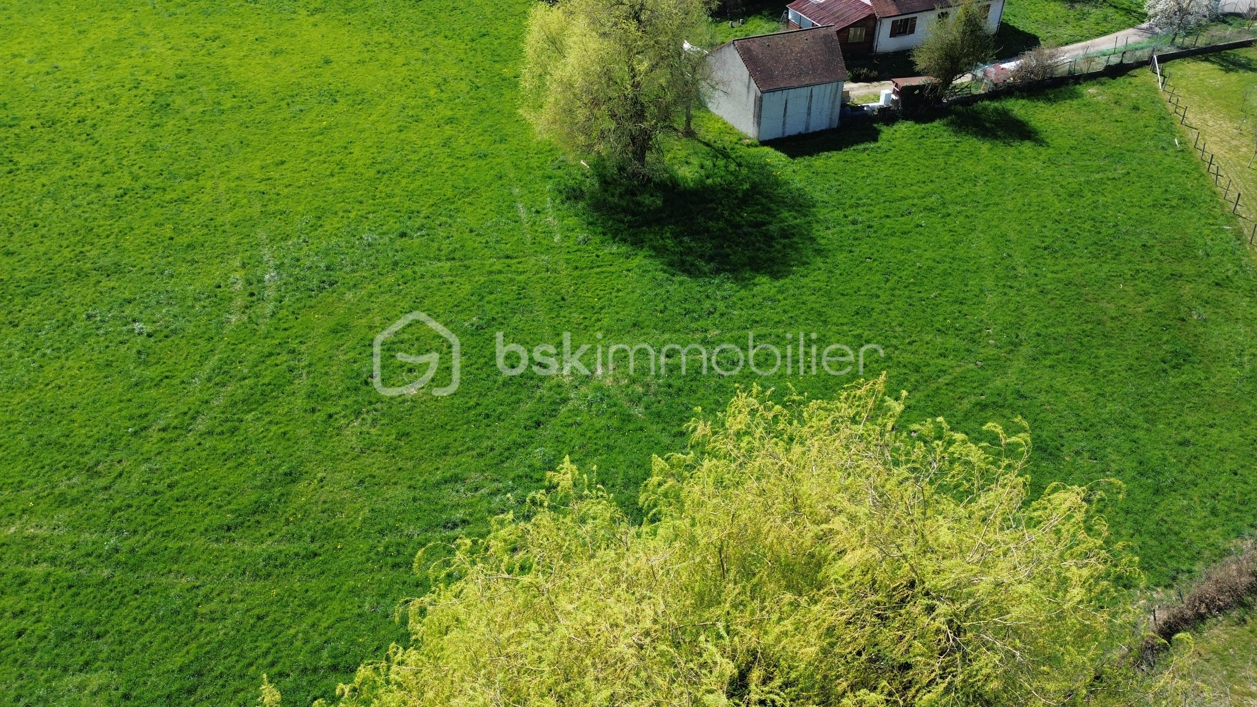 Terrain de 4 100 m² - DJI_0139.JPG