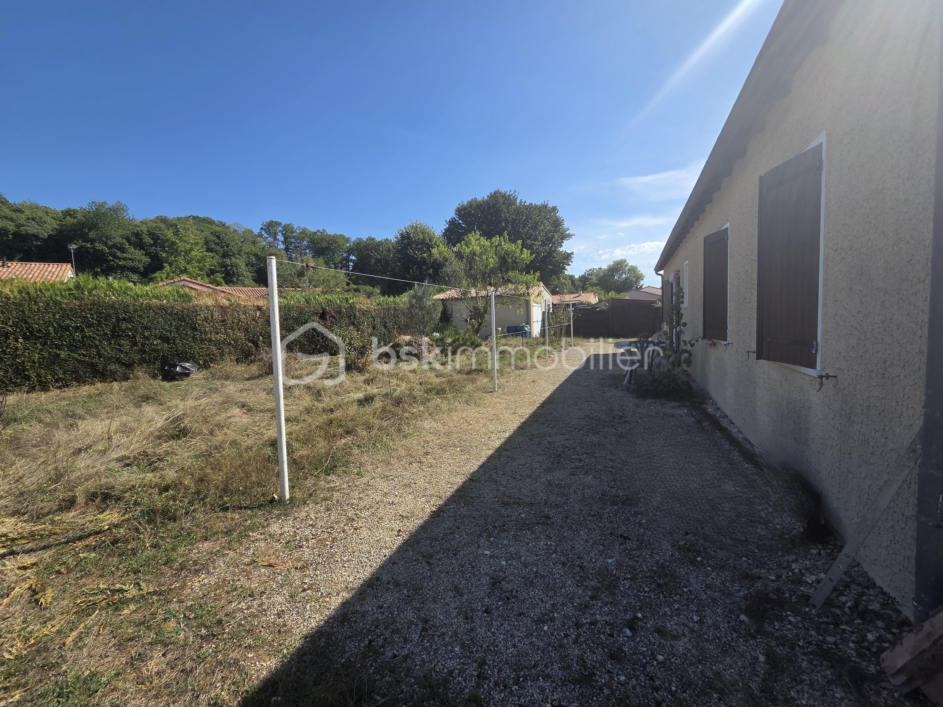JARDIN 14.jpg