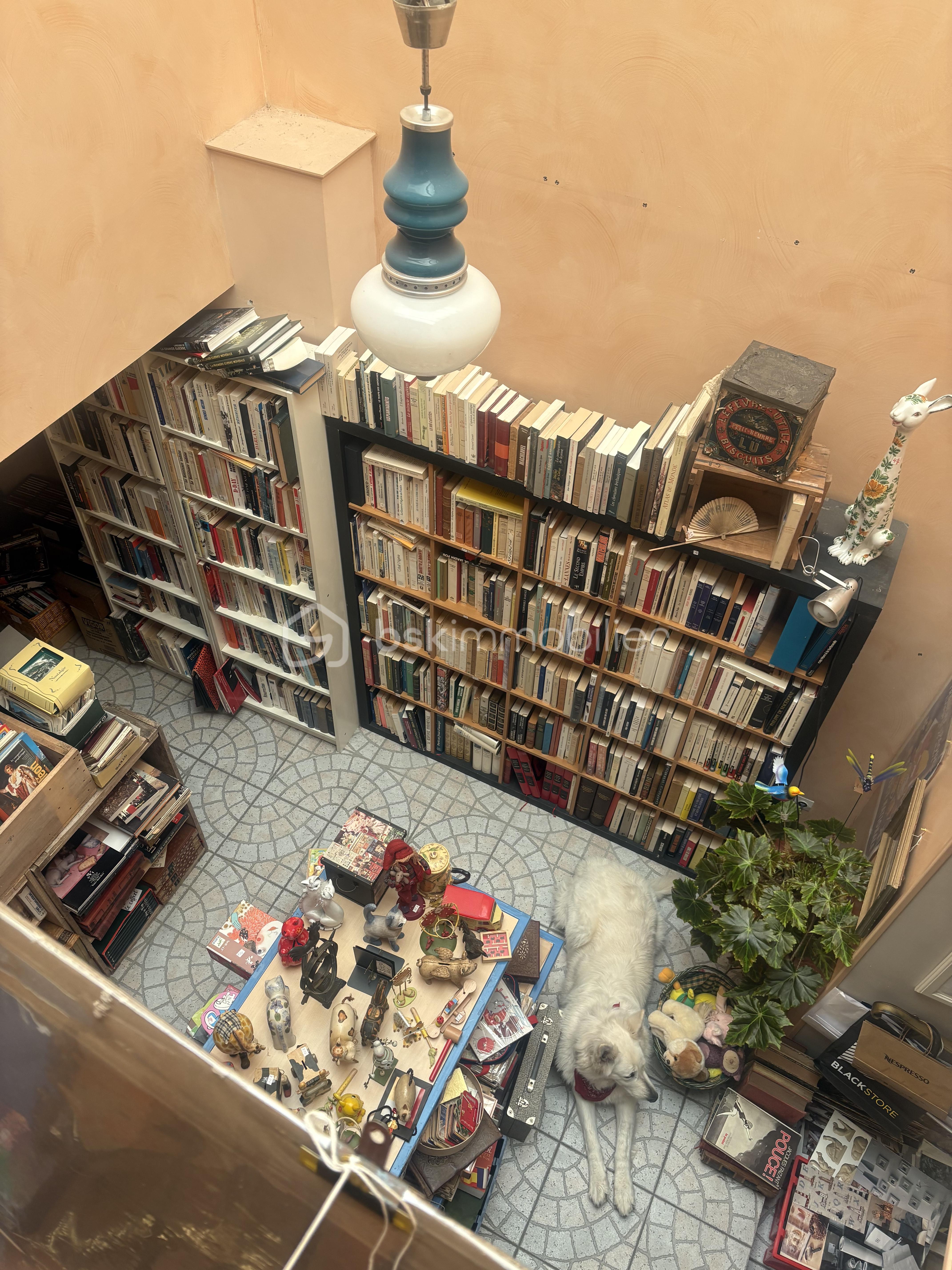 Local d'activités de 177 m² - IMG_2873.jpg