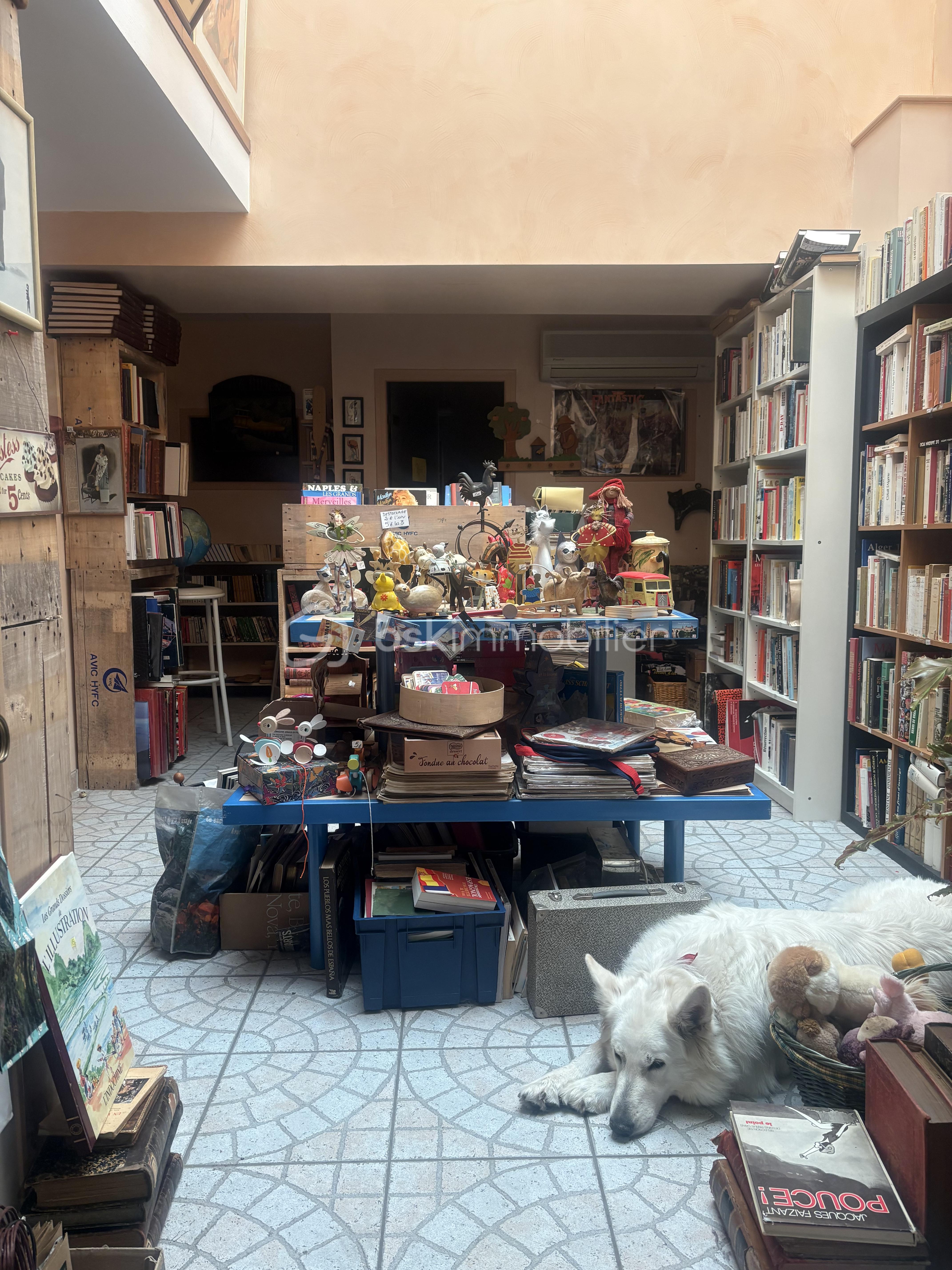 Local d'activités de 177 m² - IMG_2863.jpg