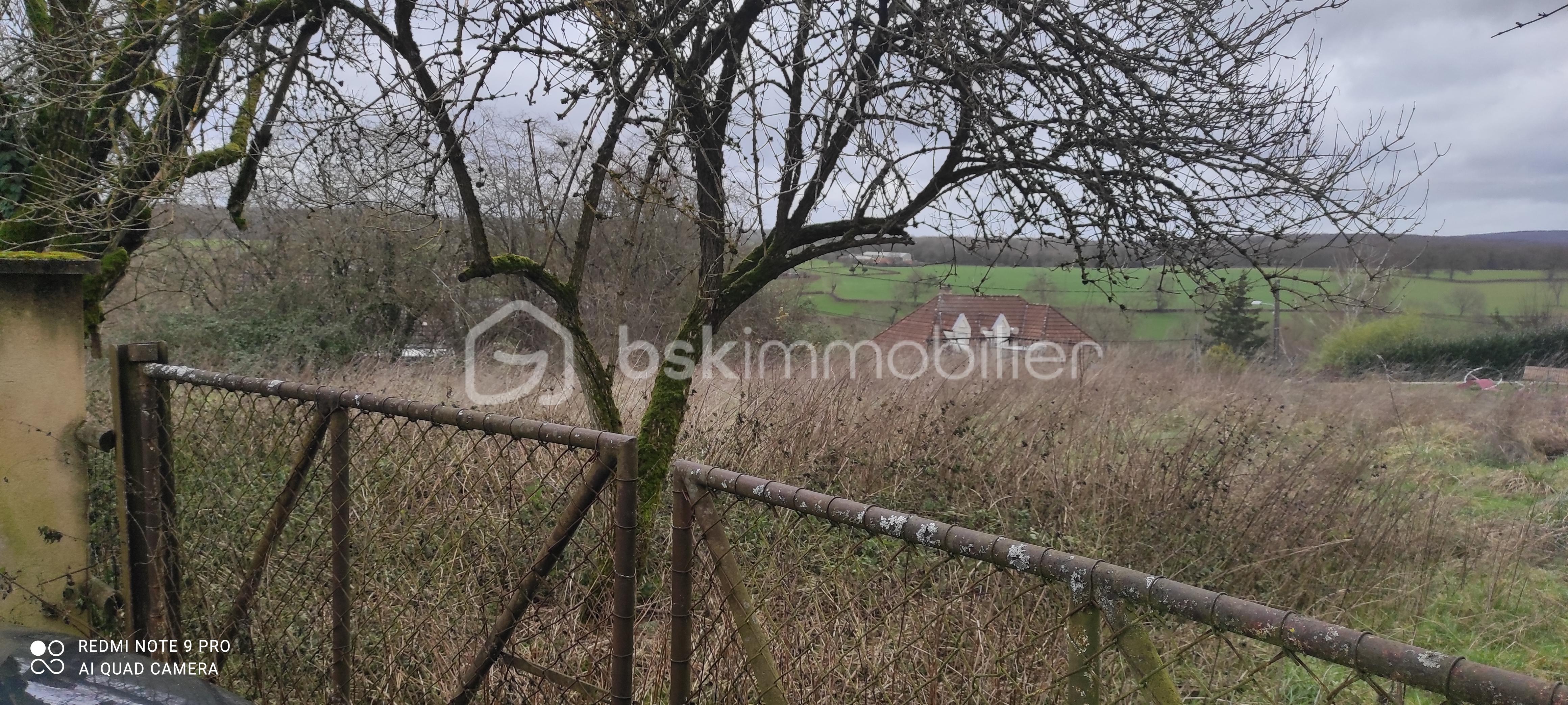 Terrain de 1 405 m² - IMG_20260109_122520.jpg