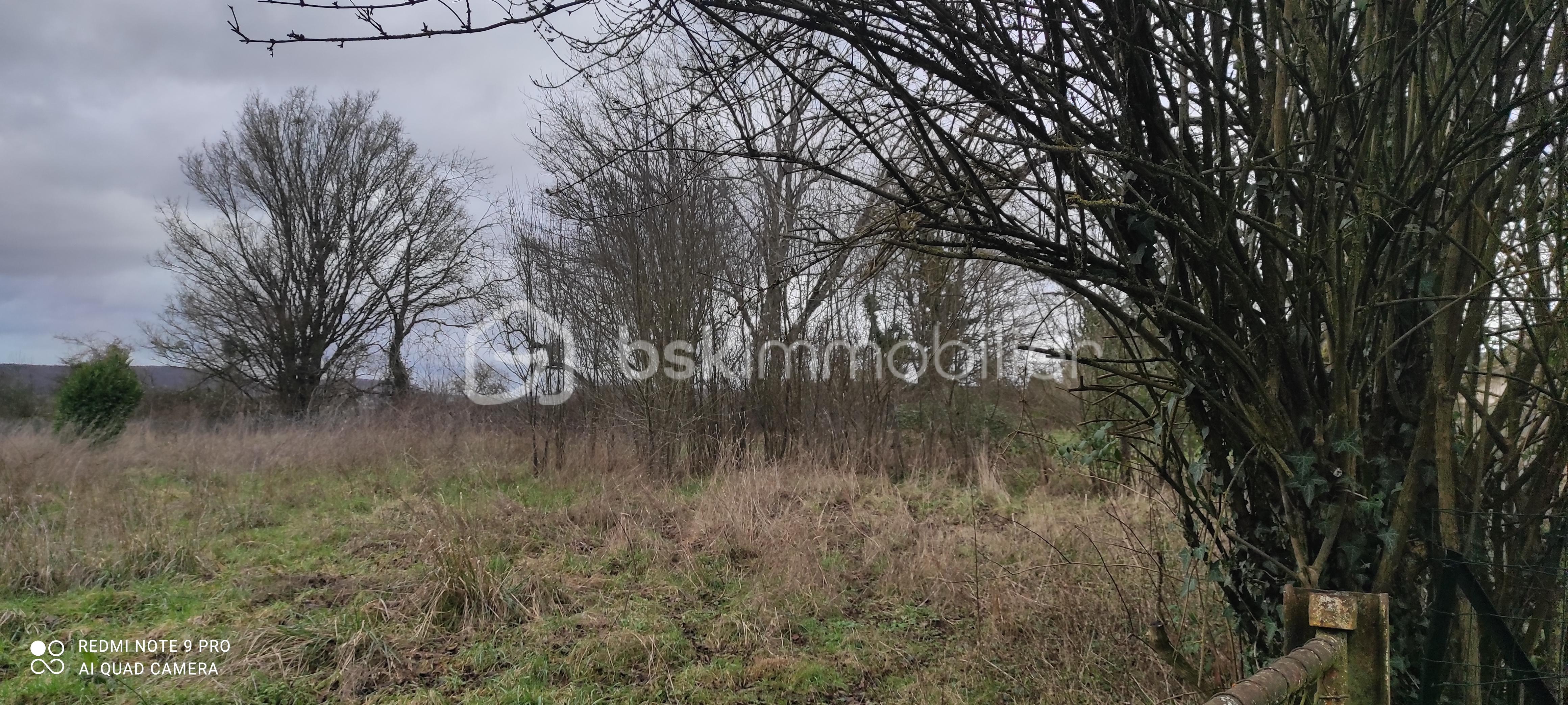 Terrain de 1 405 m² - IMG_20260109_122547.jpg
