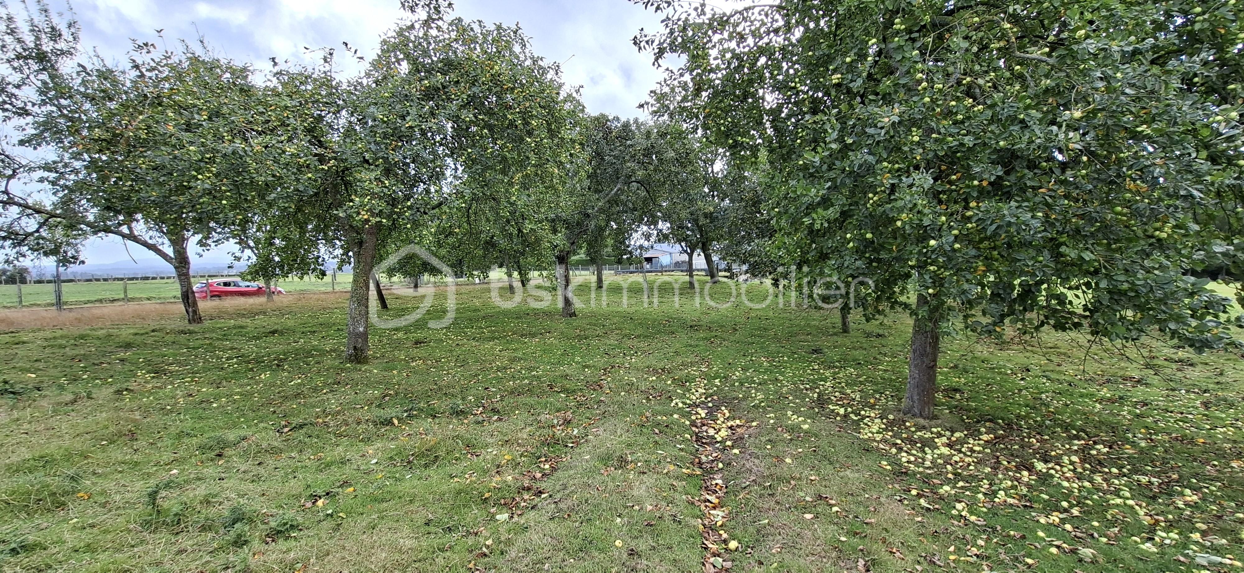 Maison en pierre de 158 m² - claude verger pris du pignon vers dépendance.jpg