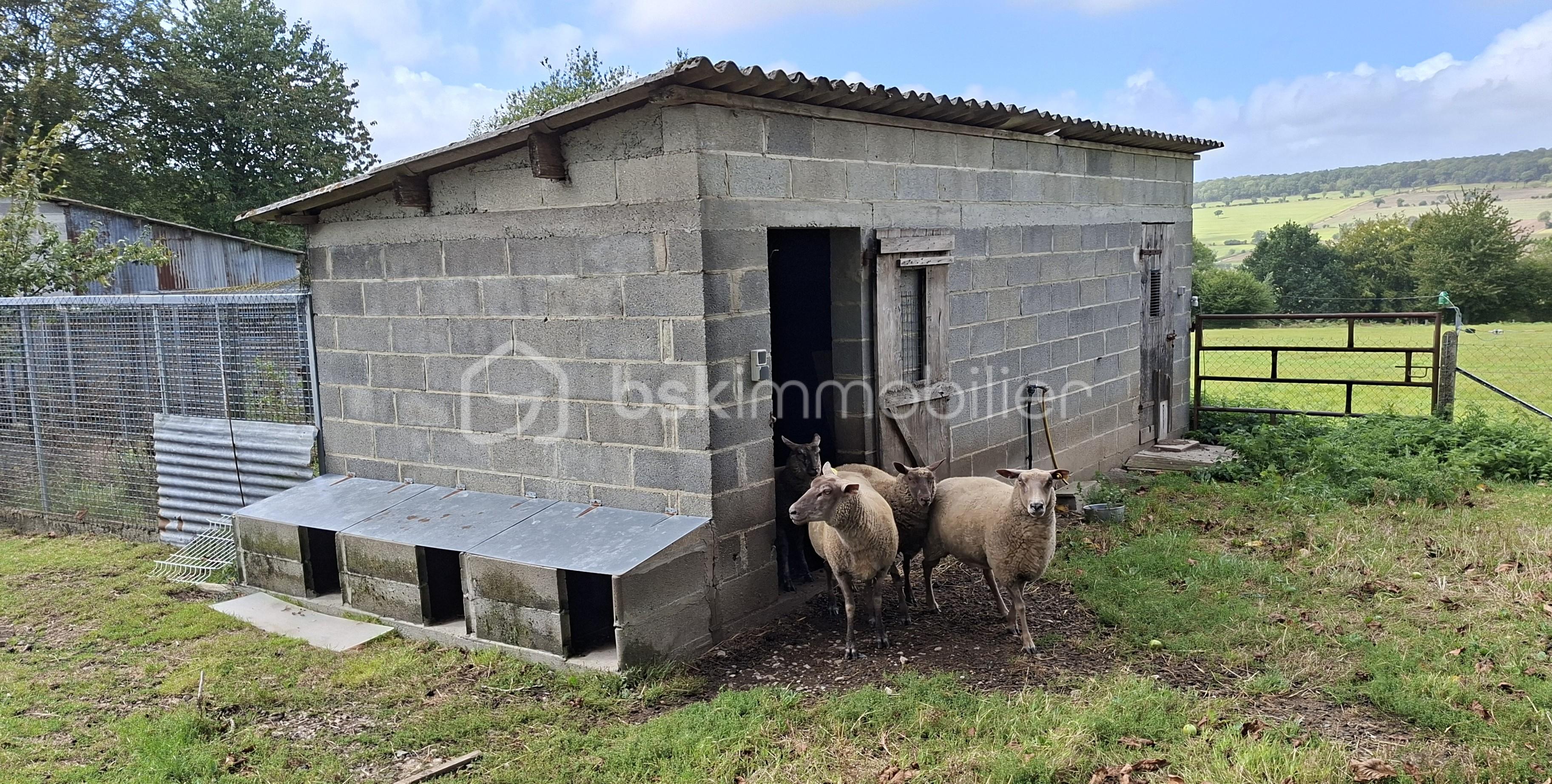 Maison en pierre de 158 m² - claude abri moutons .jpg