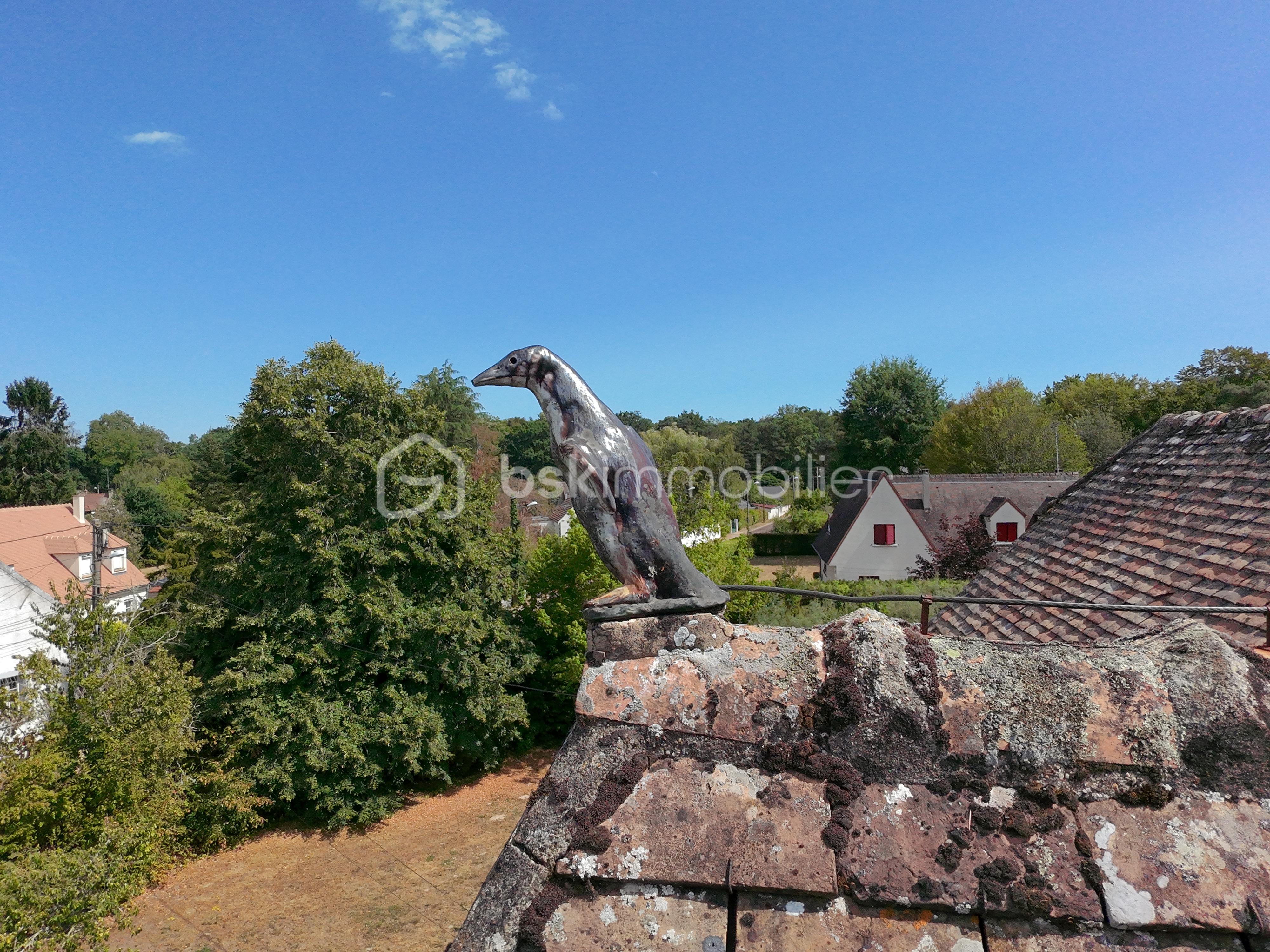 DJI_20260720160828_0131_D.JPG