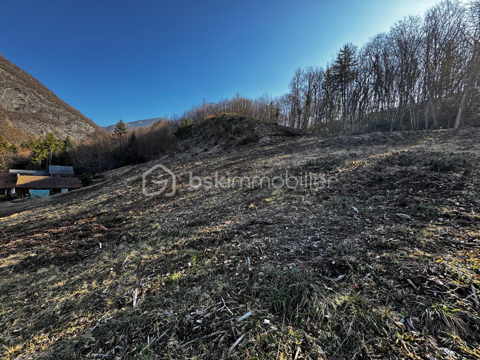 Terrain de 2 444,99 m² - IMG_8828.jpg