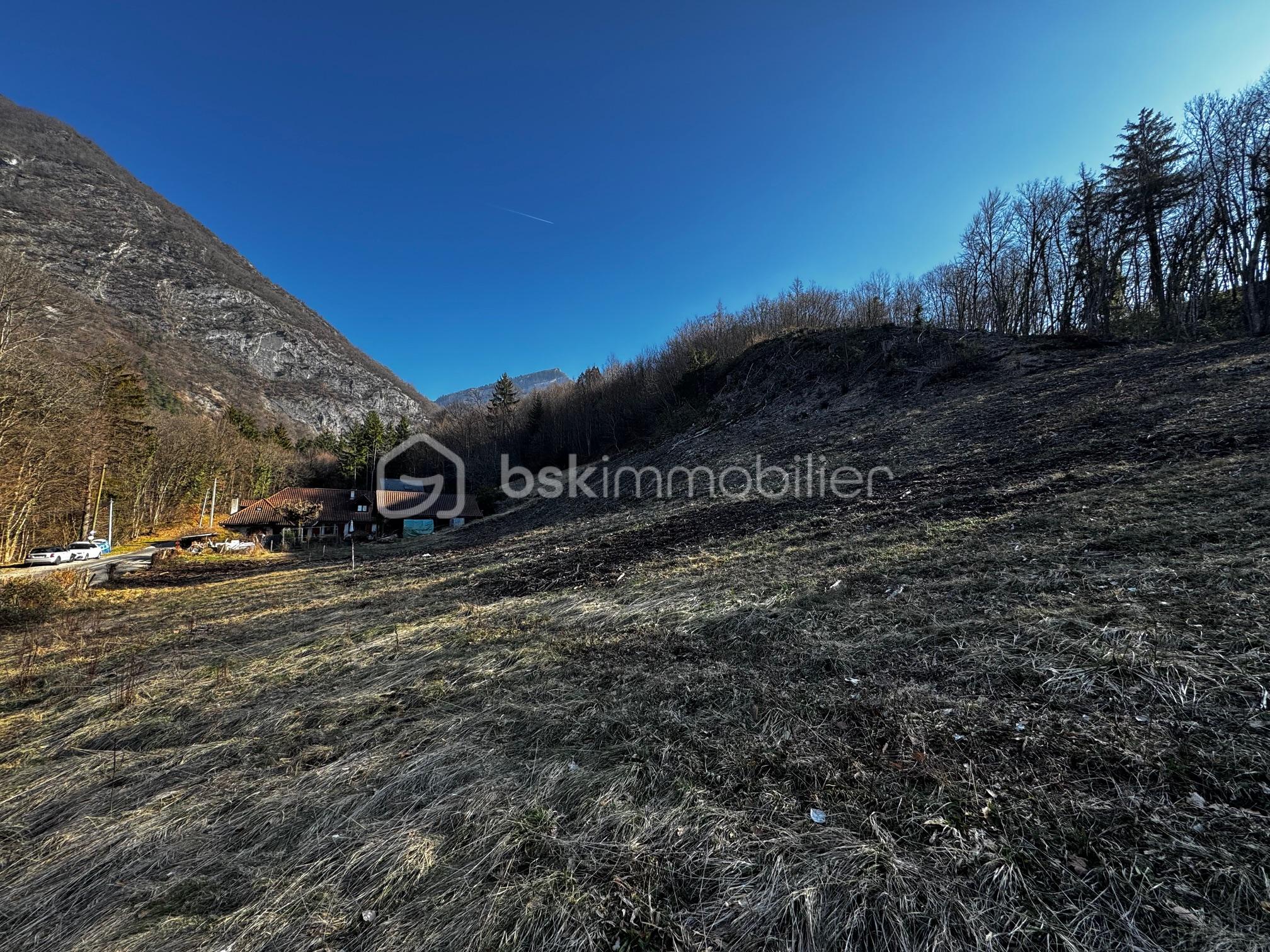 Terrain de 2 444,99 m² - IMG_8829.jpg