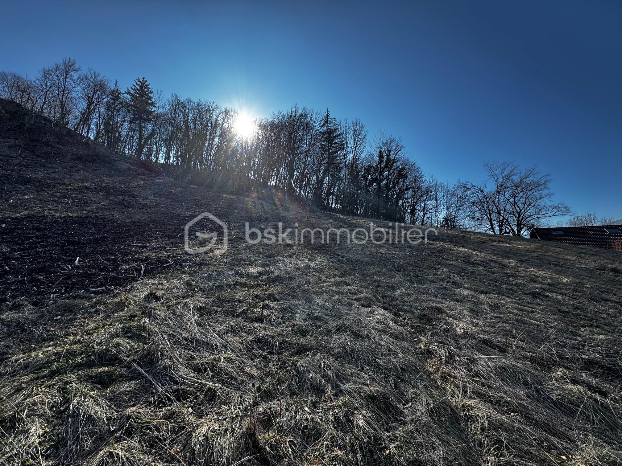 Terrain de 2 444,99 m² - IMG_8830.jpg