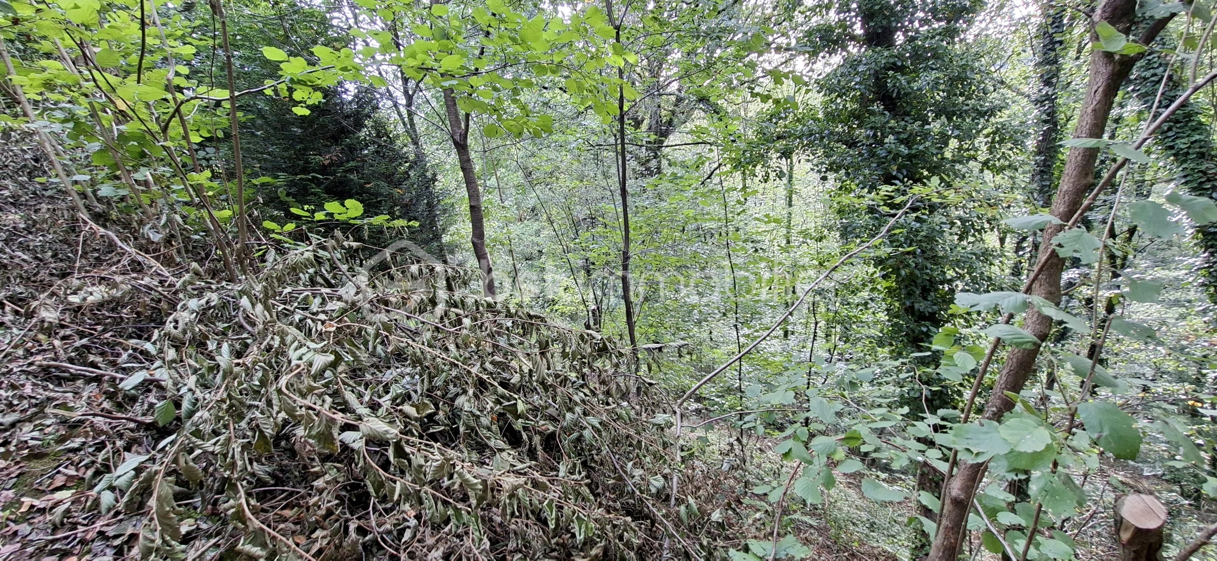 Maison longere de 200 m² - BOUR taillis.jpg