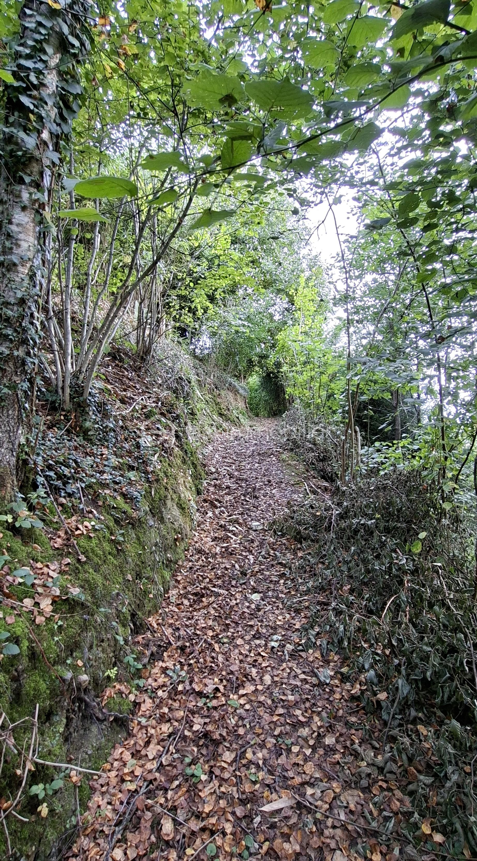 Maison longere de 200 m² - BOUR sentier montant .jpg