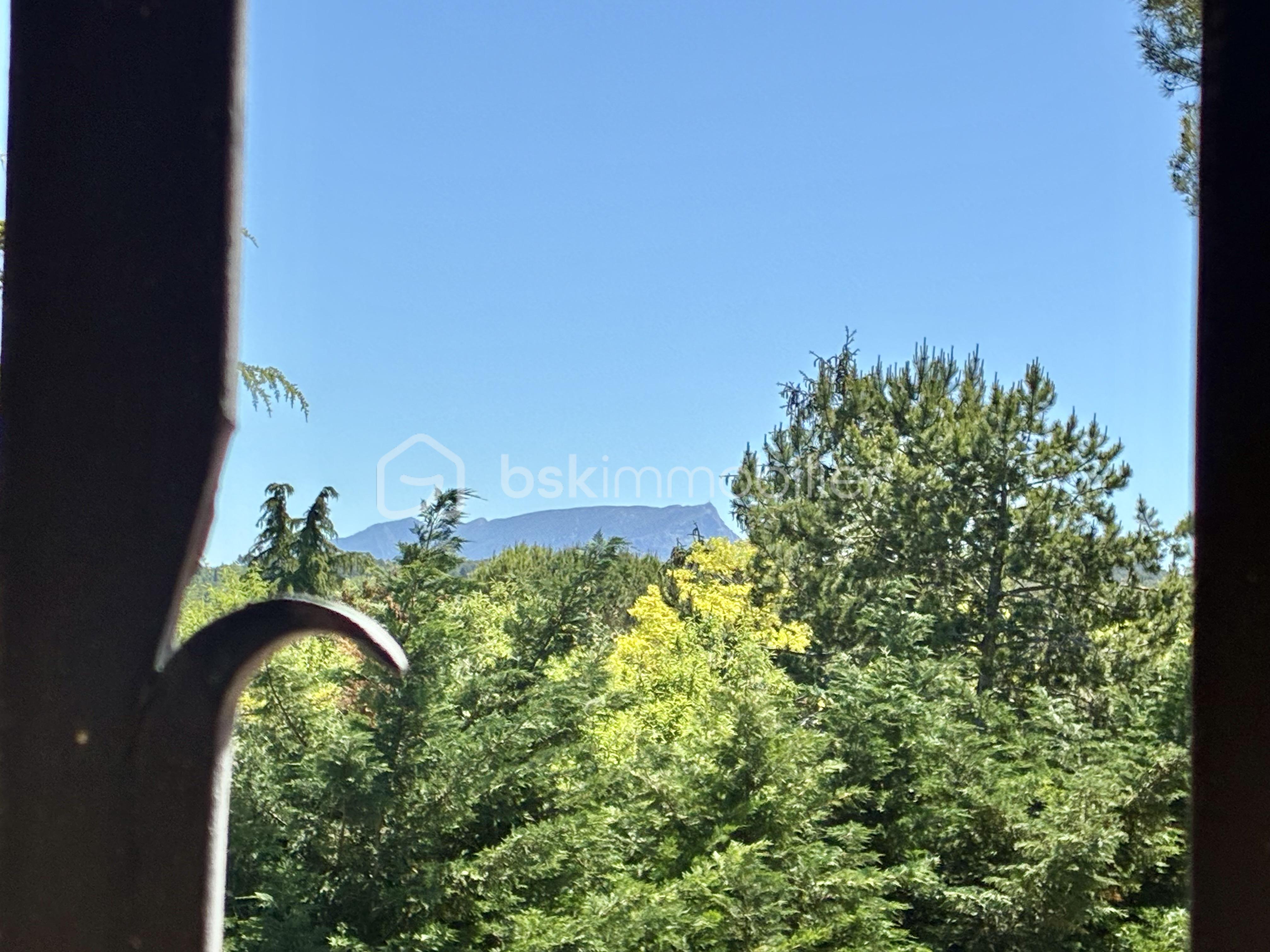 IMG_4239.jpeg