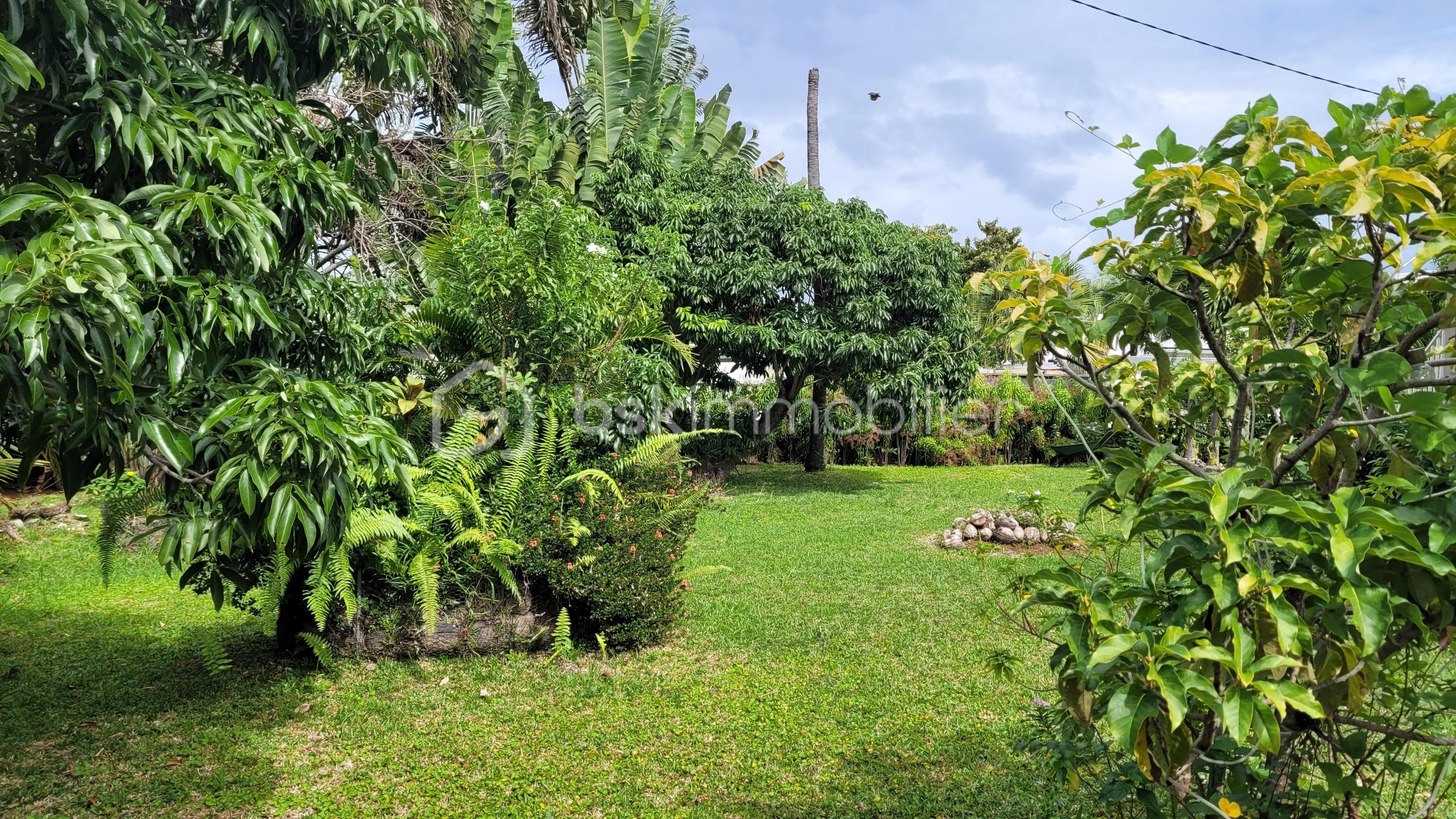 Terrain de 328 m² - 20230817_110354_resized.jpg