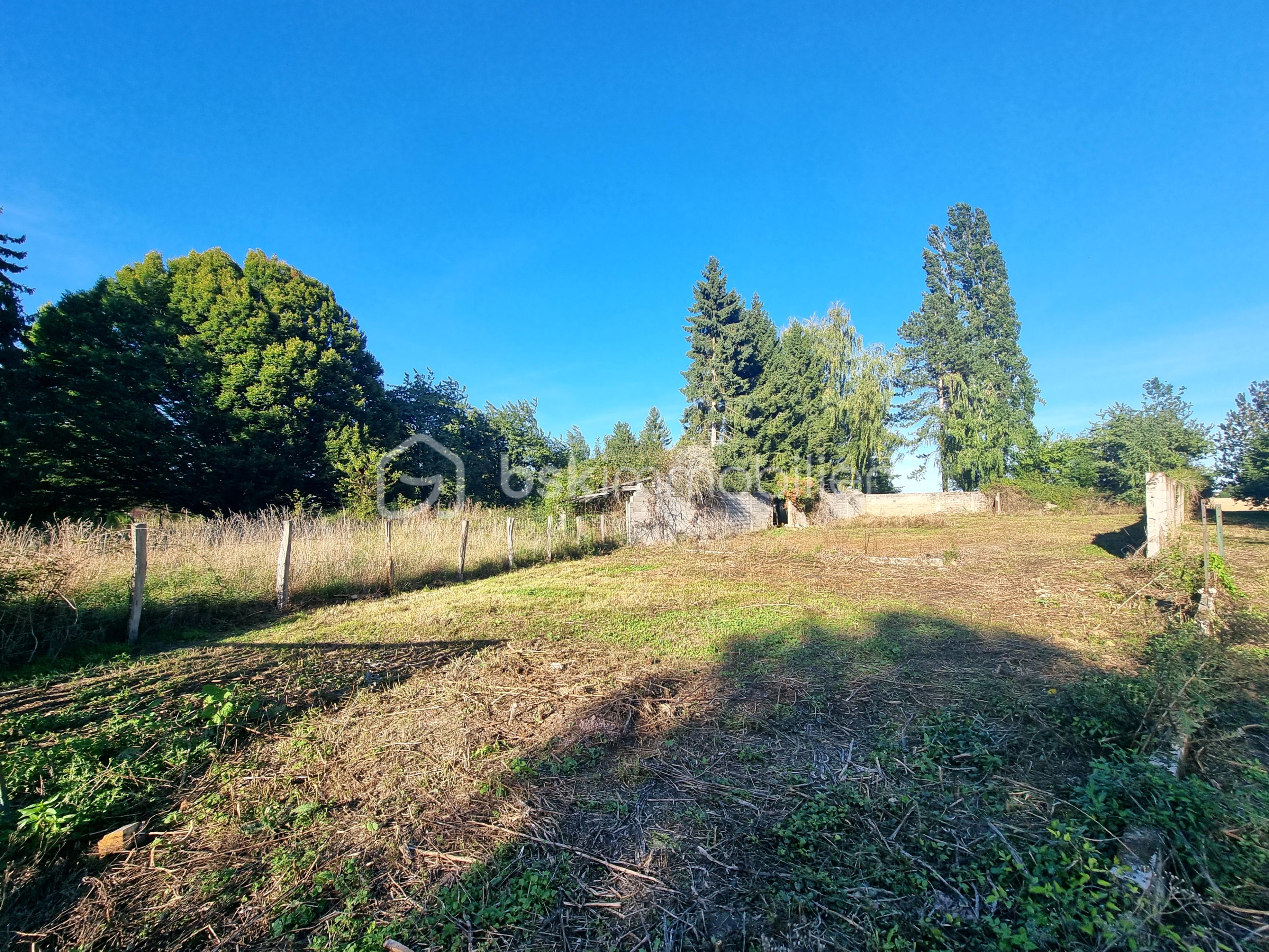 Terrain de 1 316 m² - 20250906_180411.jpg