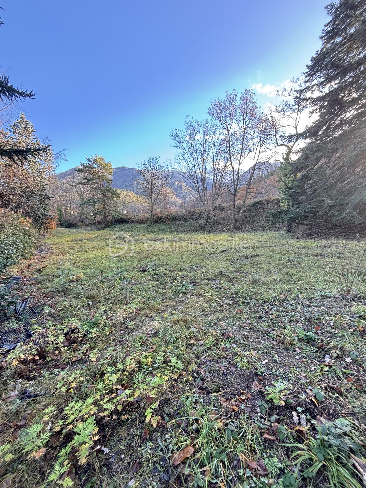 Terrain de 3 680 m² - IMG_5052.JPEG