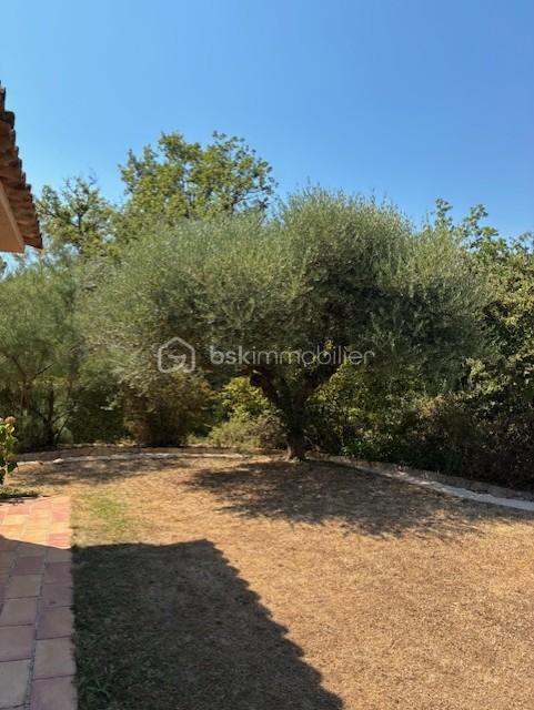 Maison d architecte de 179,37 m² - jardin.jpg