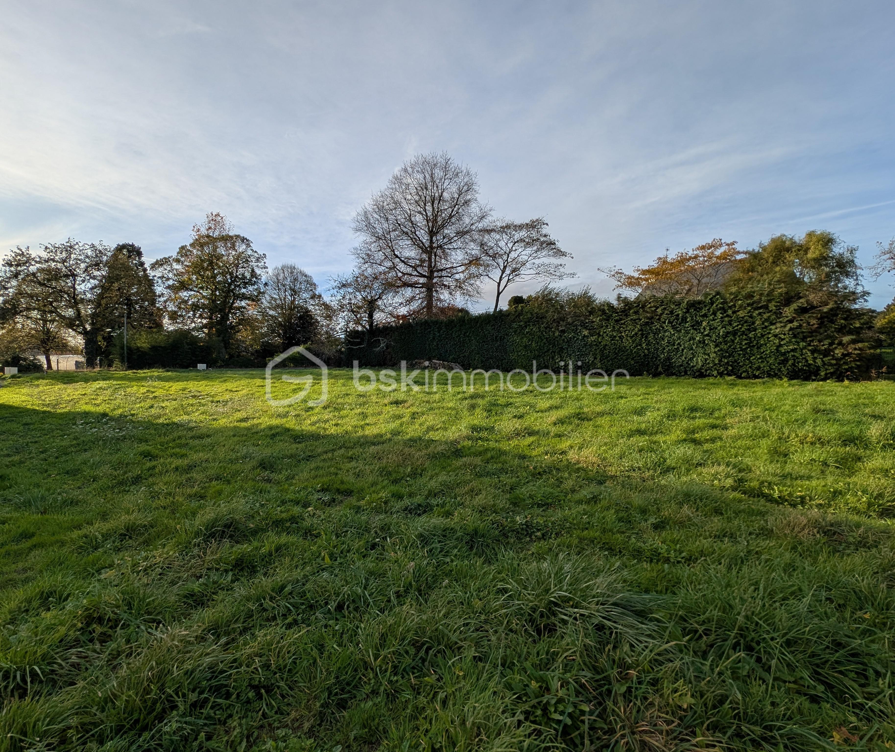 Terrain de 872 m² - PXL_20251106_1515271771.jpg