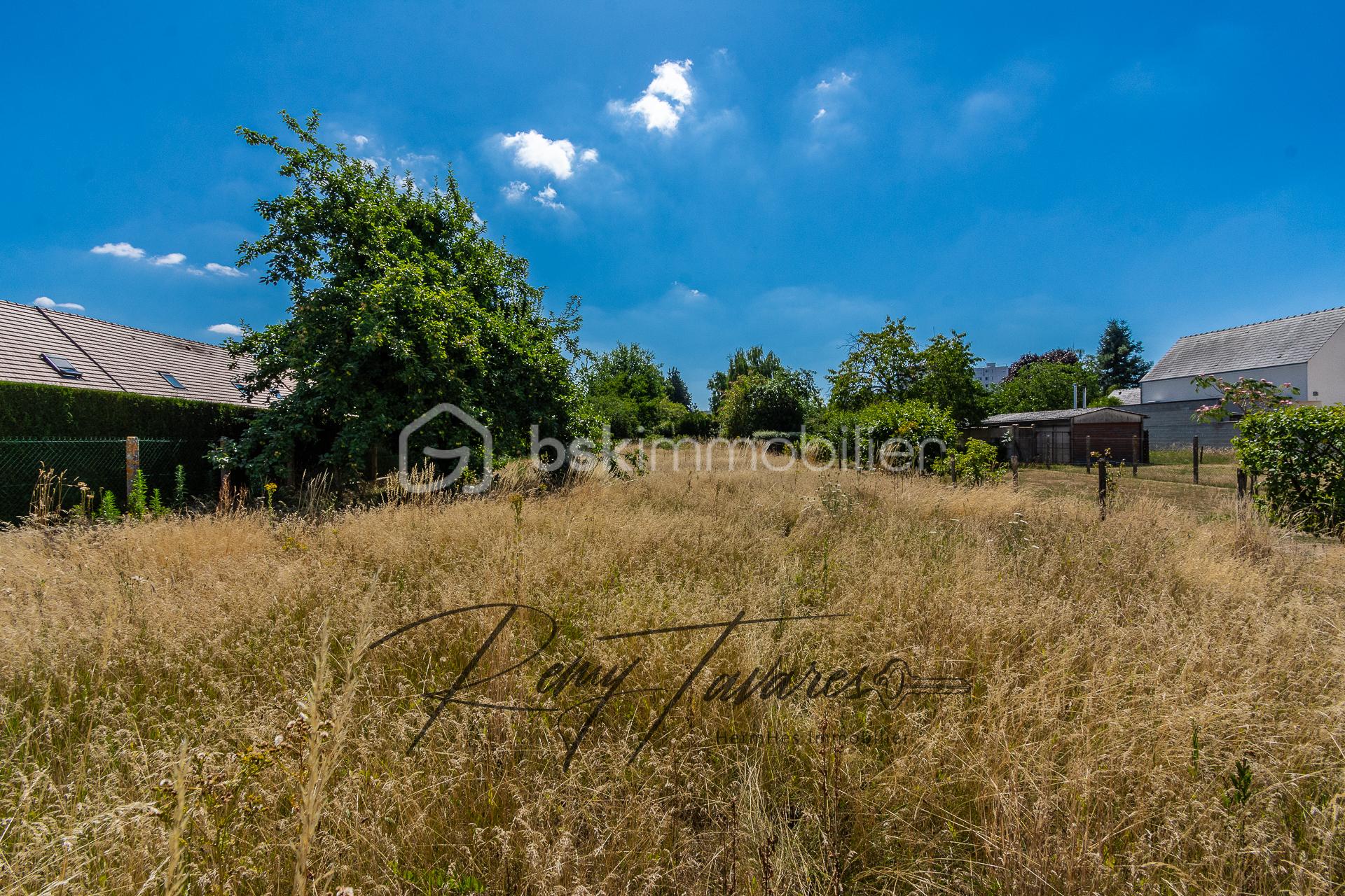 Lotissement de 1 299 m² - 208053 - Photo -4.jpg