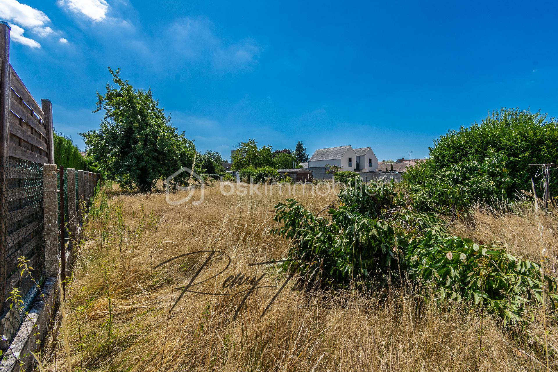 Lotissement de 1 299 m² - 208053 - Photo -5.jpg