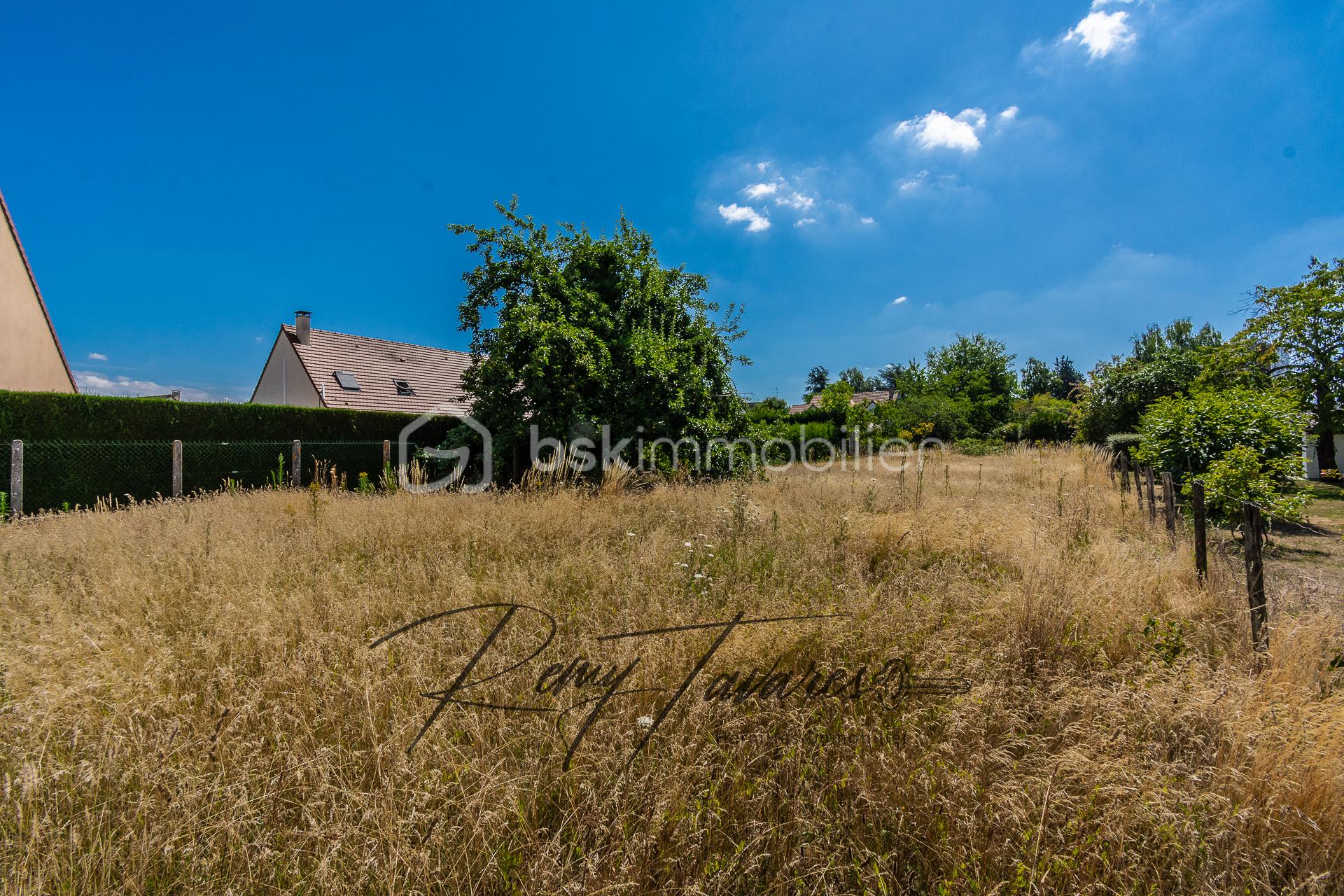 Lotissement de 1 299 m² - 208053 - Photo -3.jpg