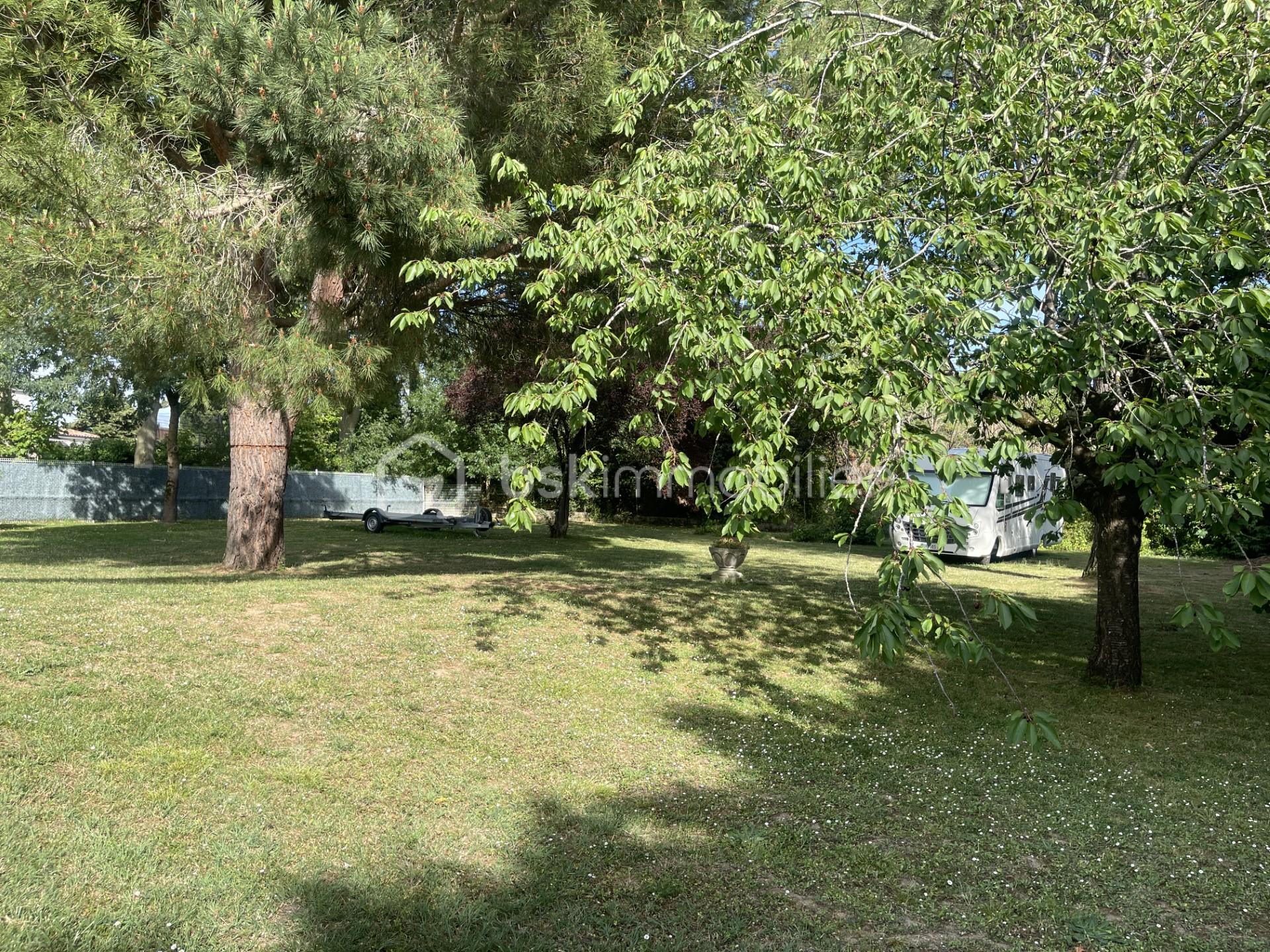 07d16e50-5550-4461-a048-ede5c3263ac2.jpg