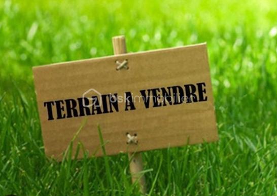 capture terrain .png