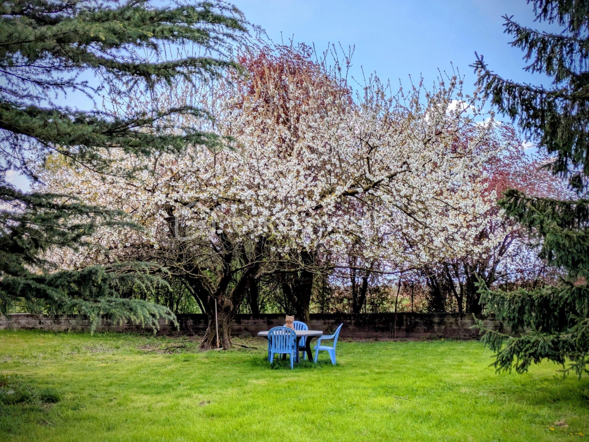 WhatsApp Image 2026-04-03 at 11.52.55.jpeg