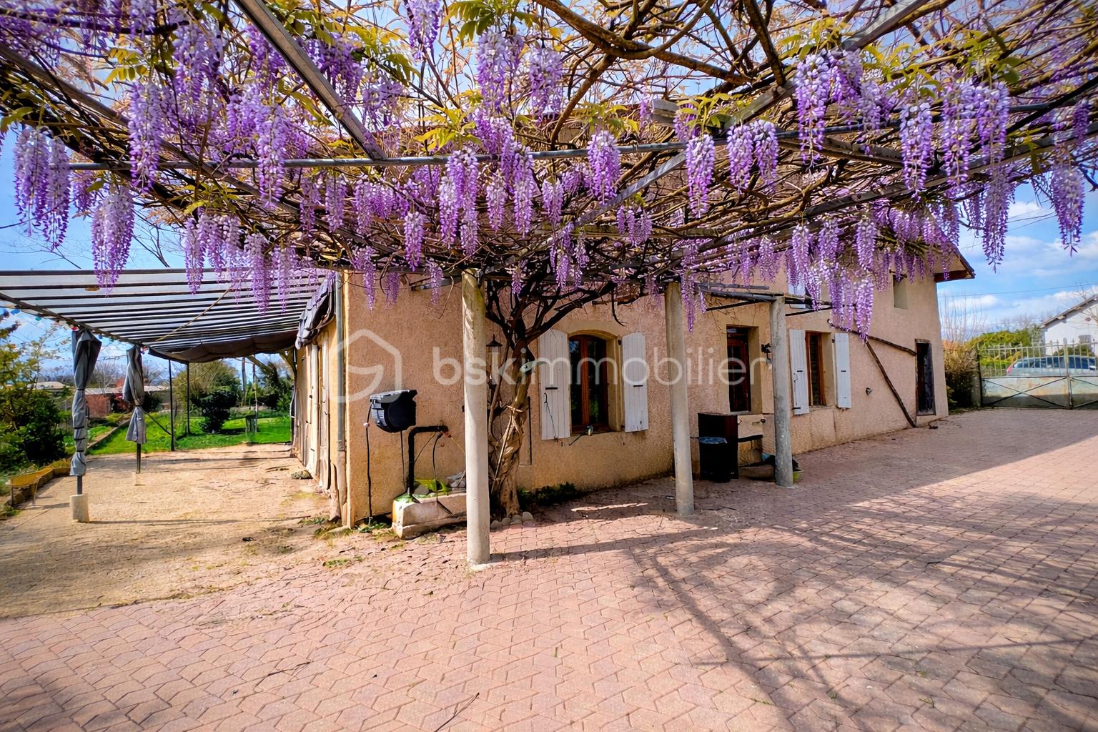 Pergola en fleurs sous le soleil.png