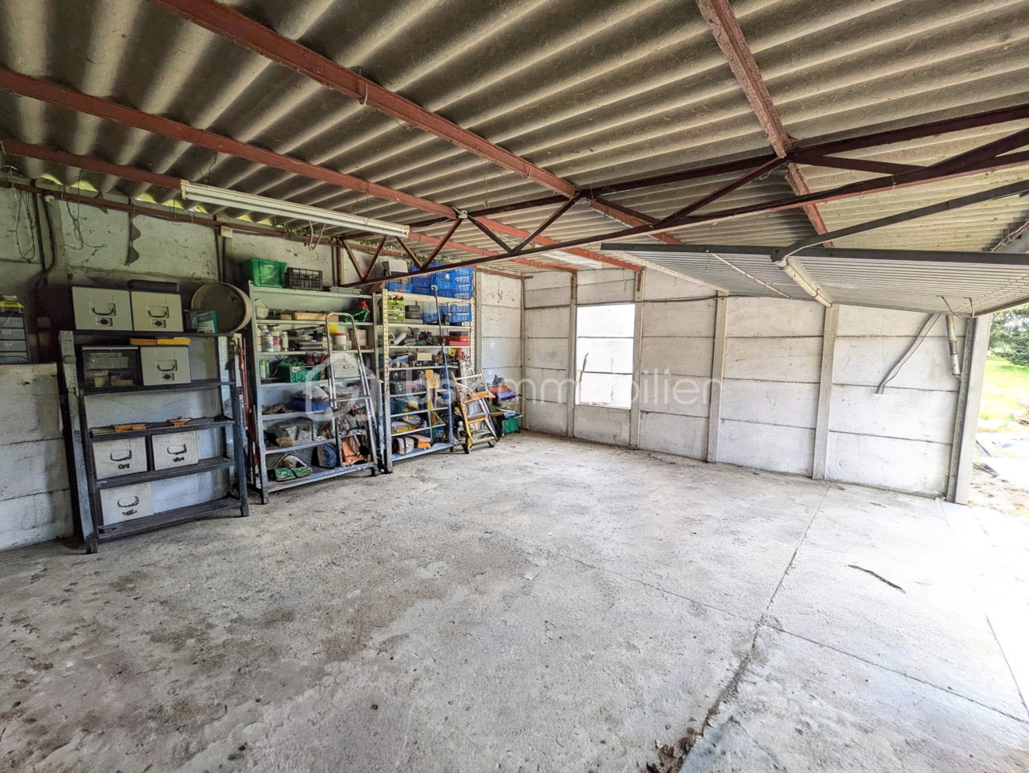 WhatsApp Image 2026-04-03 at 11.52.56.jpeg