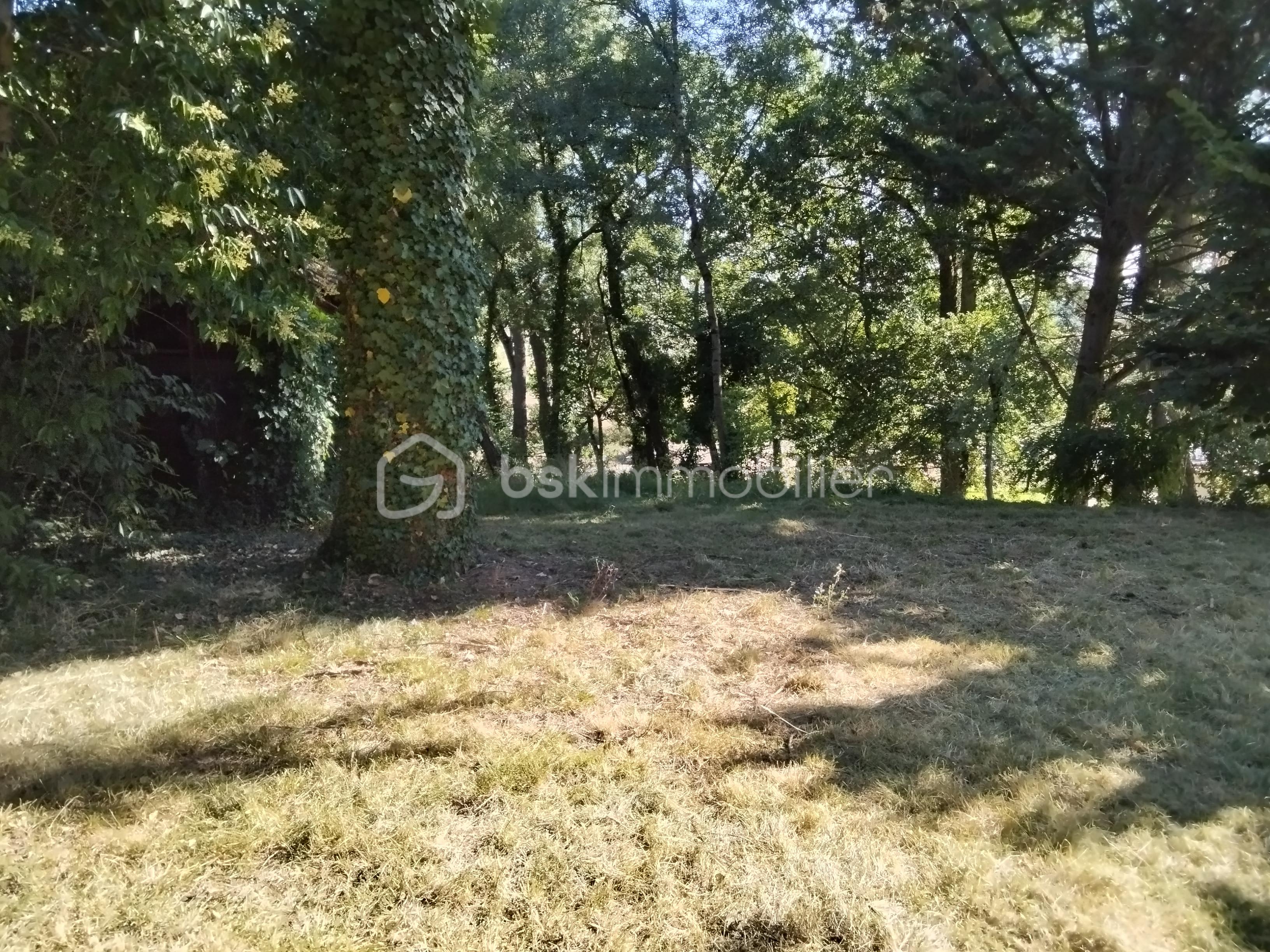 IMG_20260707_092748.jpg
