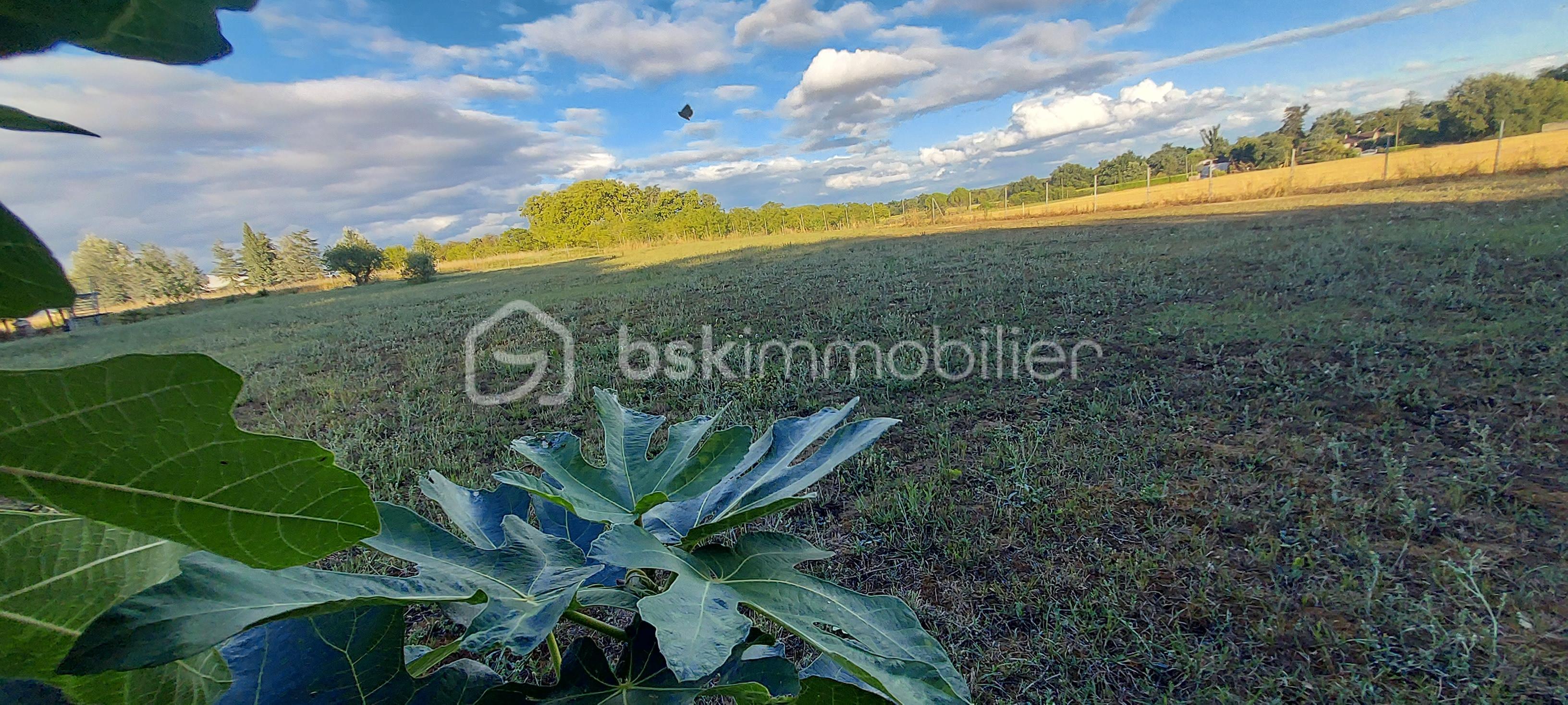 Maison de 135 m² - 1000016191.jpg