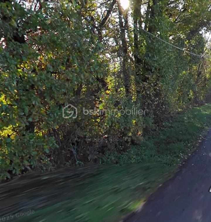 Terrain de 3 175 m² - Screenshot_20251023-155037~2.png