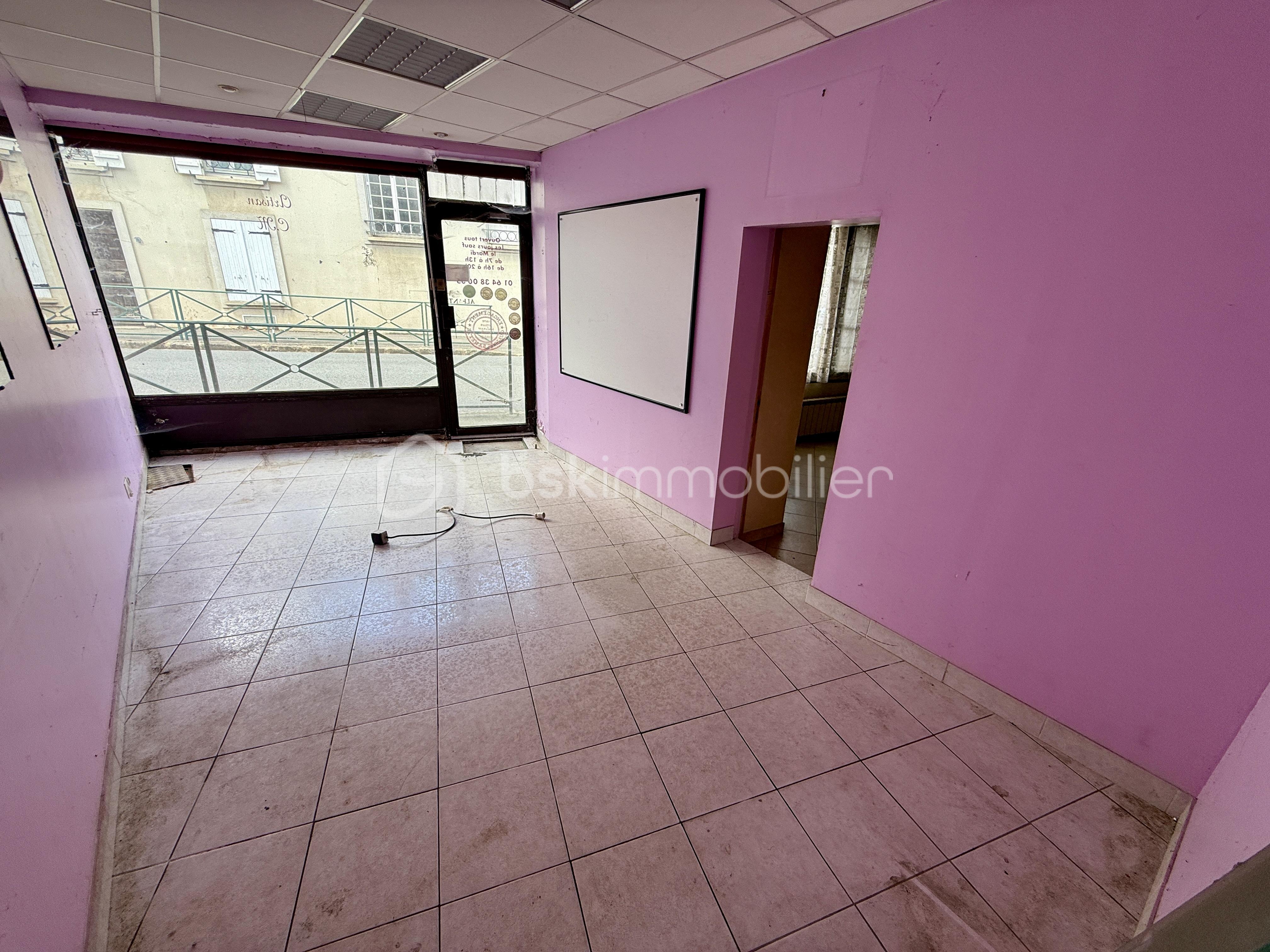Maison de 240 m² - IMG_6608.jpg