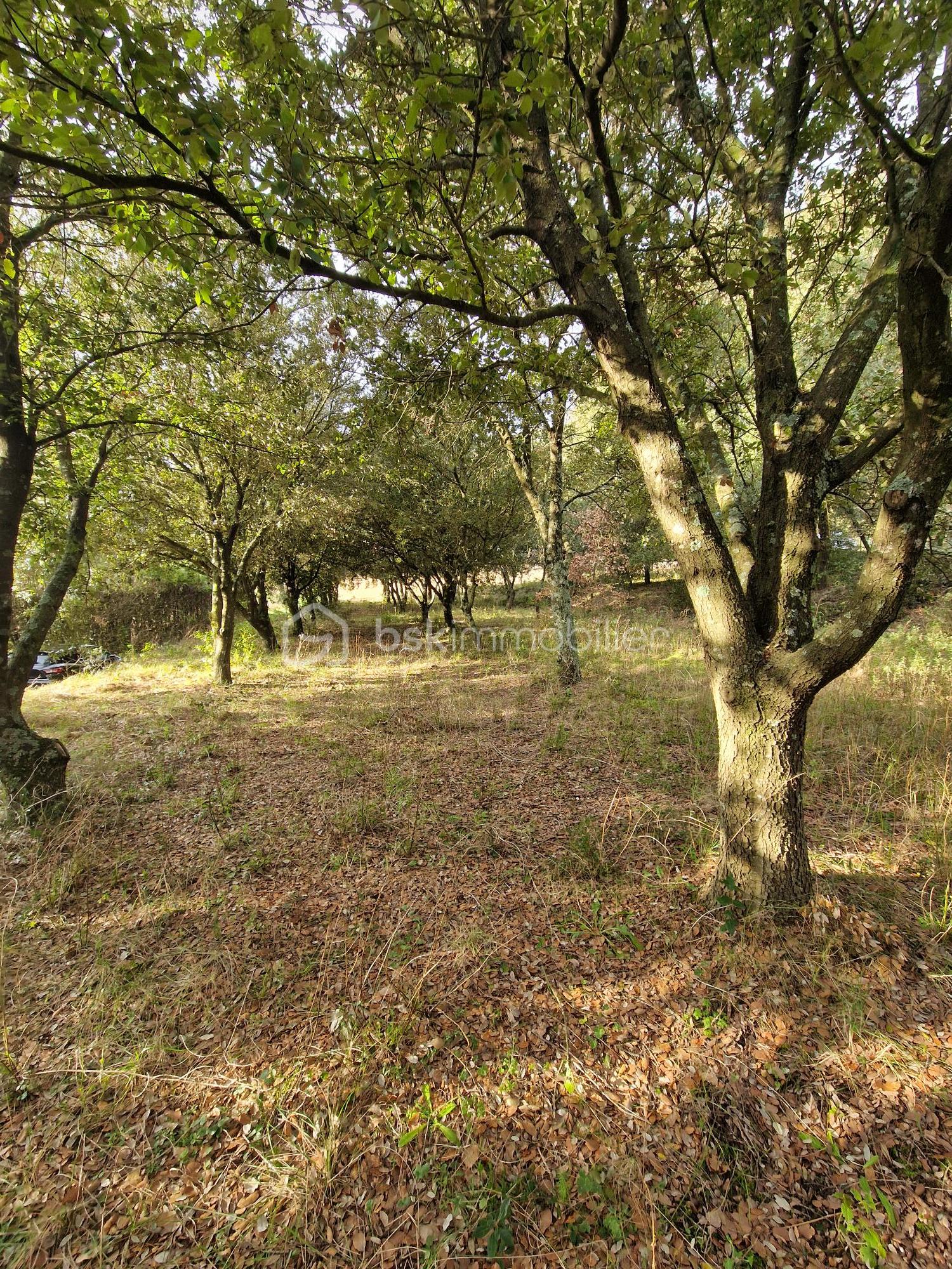 Terrain de 2 380 m² - B860.jpg