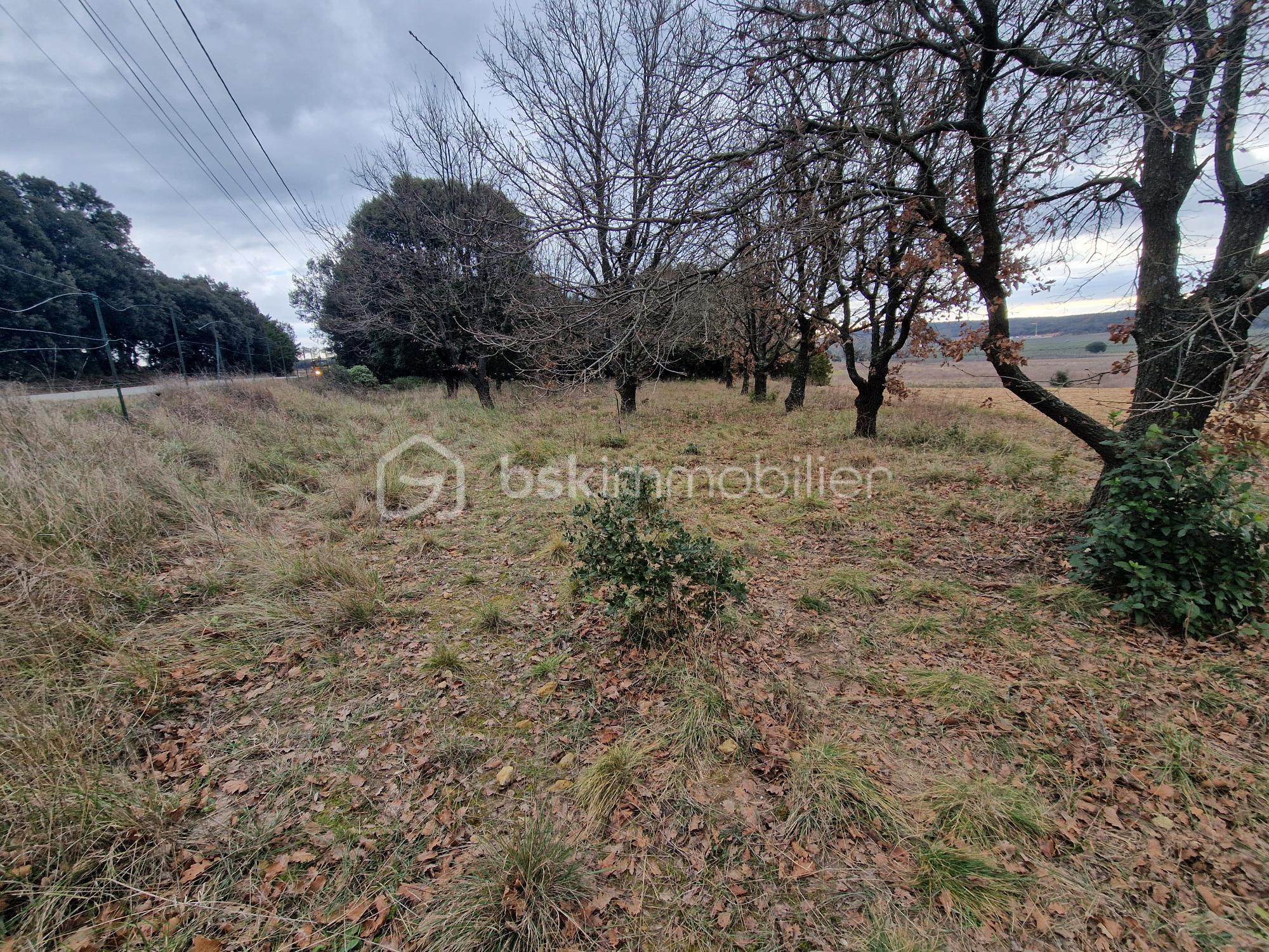 Terrain de 2 380 m² - B861 Truffière.jpg