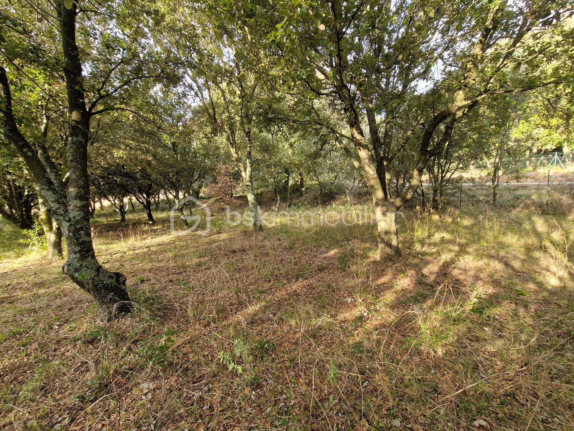 Terrain de 2 380 m² - B860 côté route.jpg