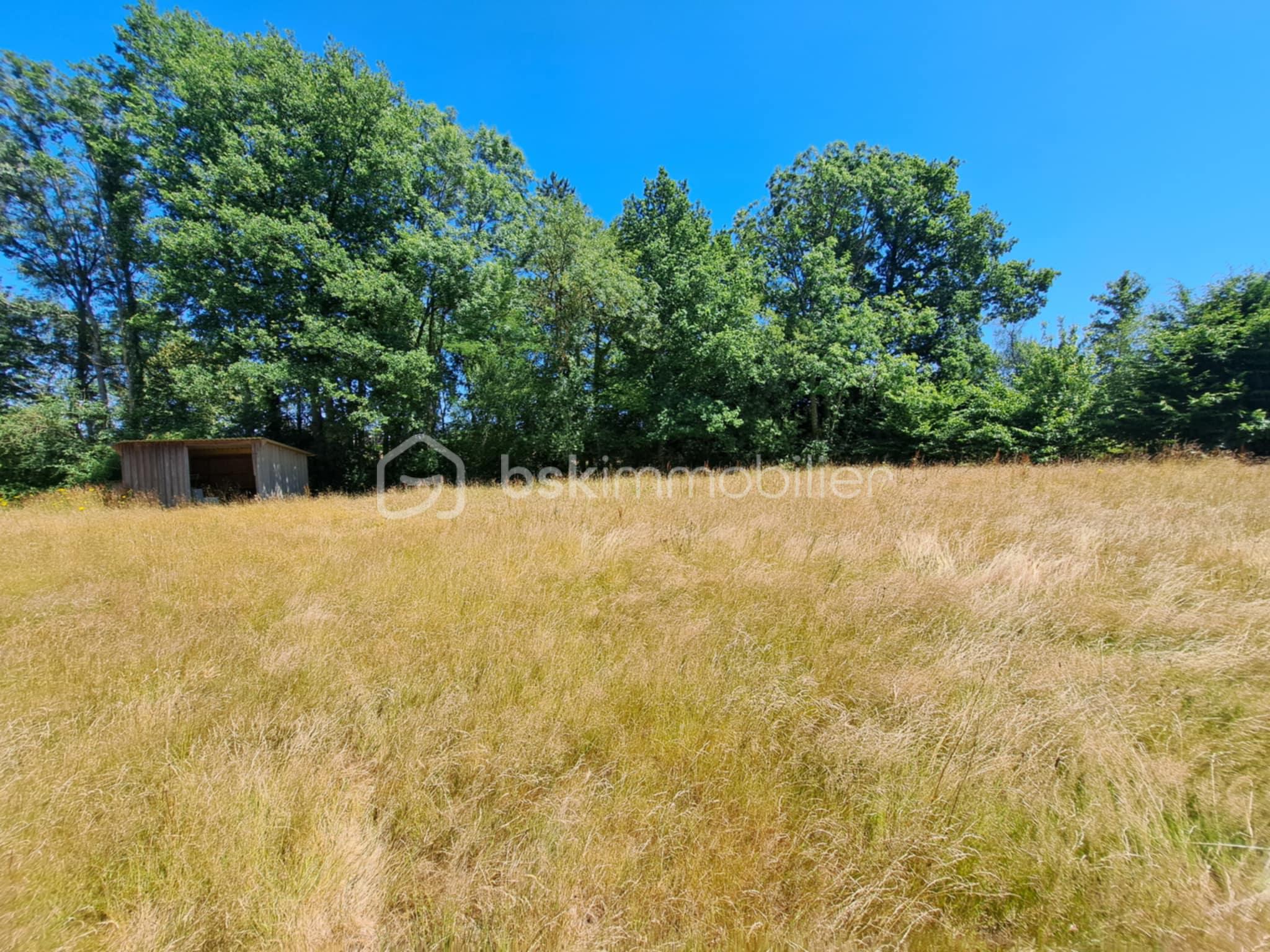 Maison de 114 m² - b10dceb3-0fd3-40a1-a1f7-15eba9246214.jfif