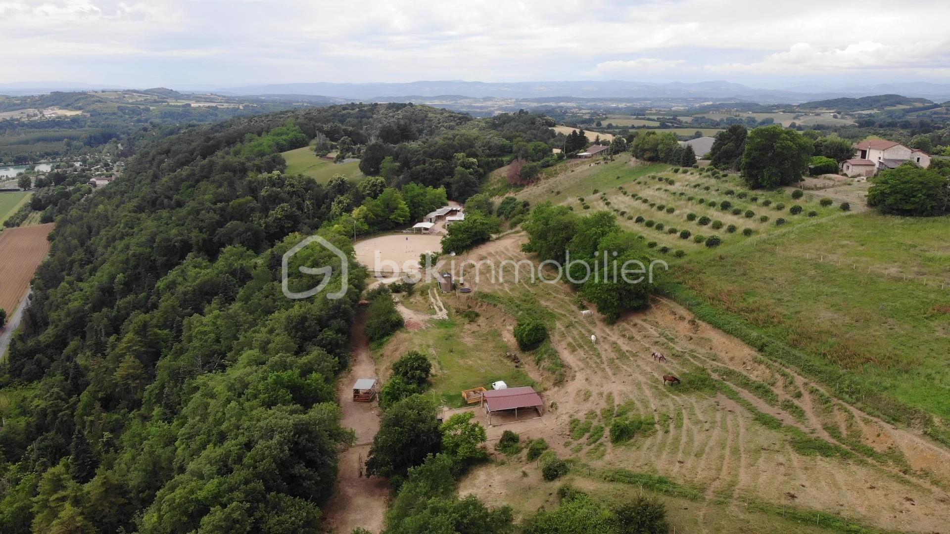 DJI_0169 - frame at 2m6s.jpg