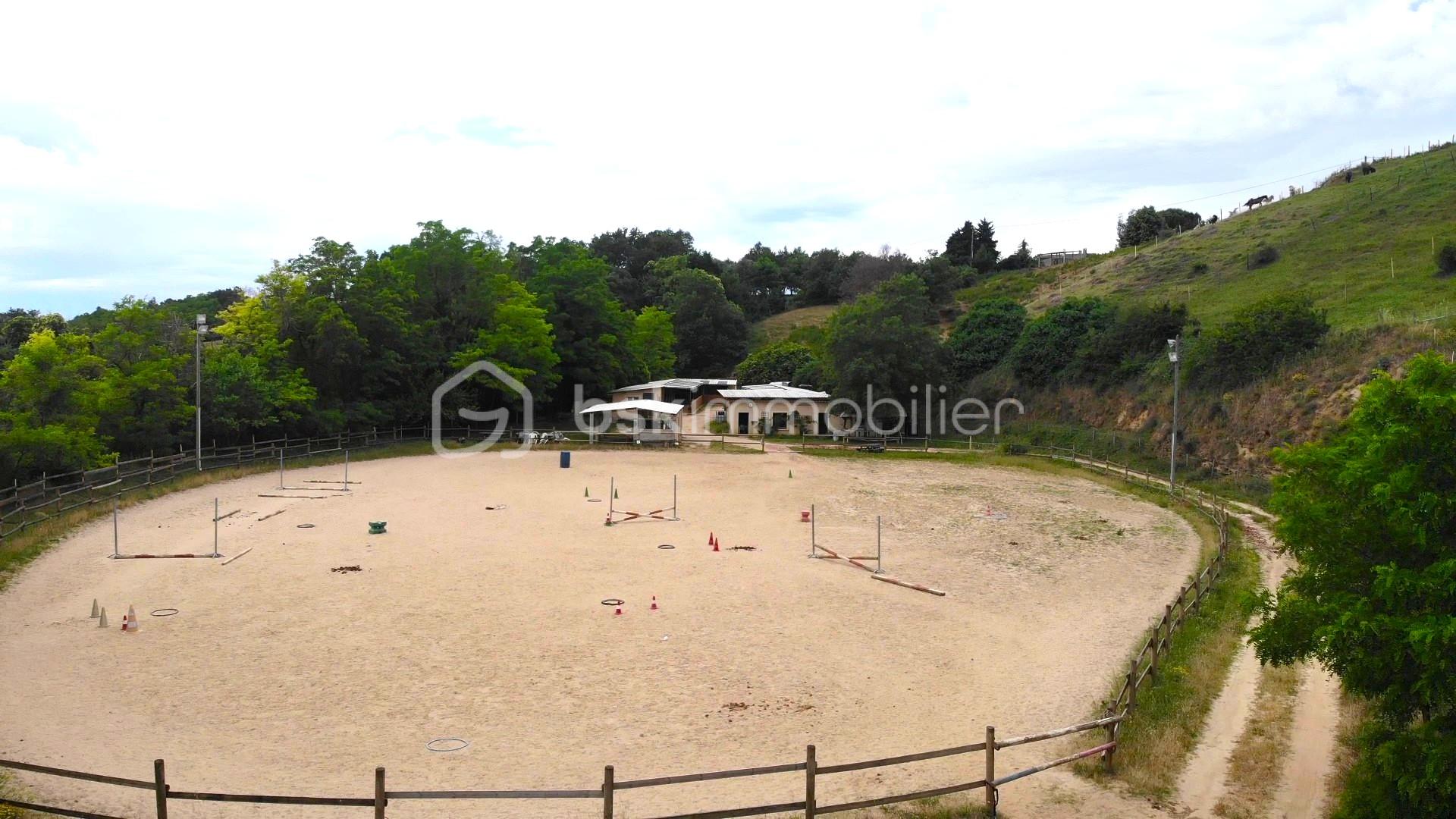 DJI_0169 - frame at 4m1s.jpg